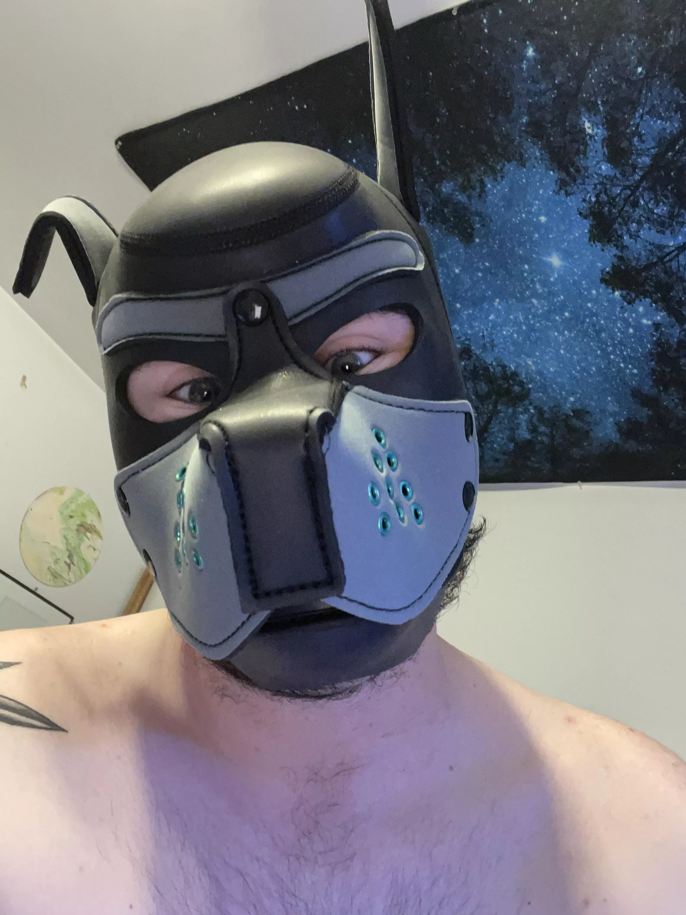 New to pup, looking for friends! 26