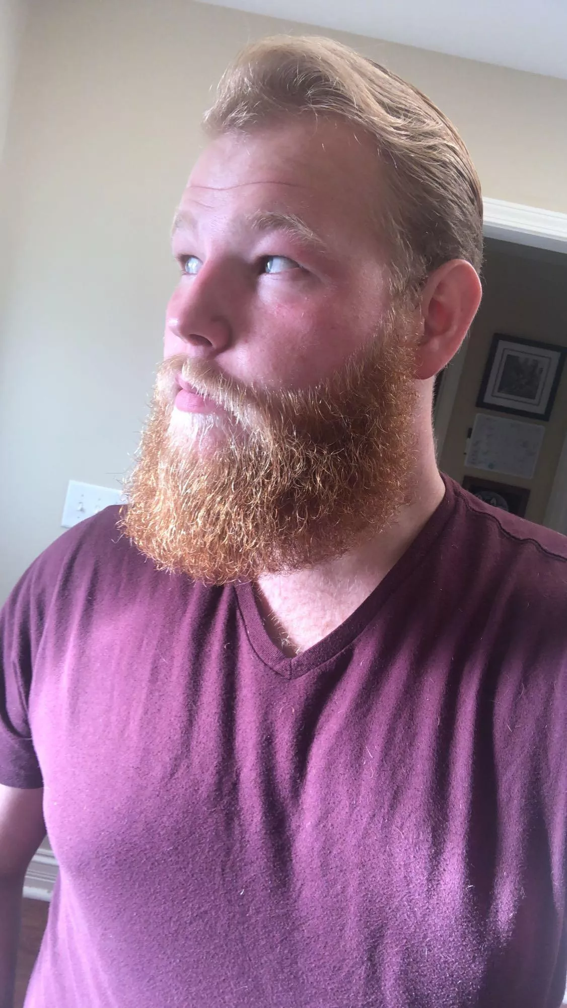 No love for a ginger beard.