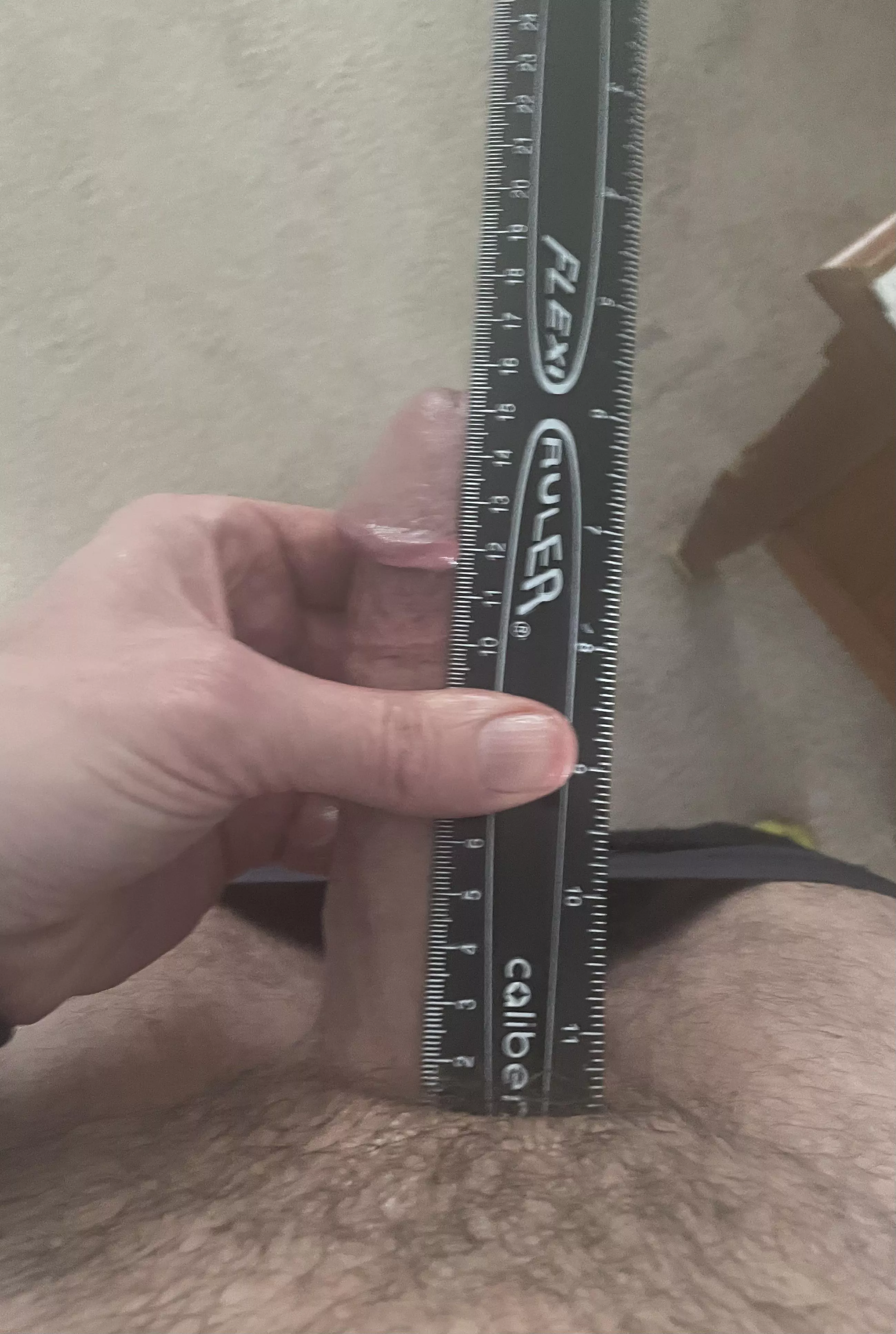 Not fully erect but also not sure the right way to read measurement. Circumference is 14.5 at middle and 15.5 at base.