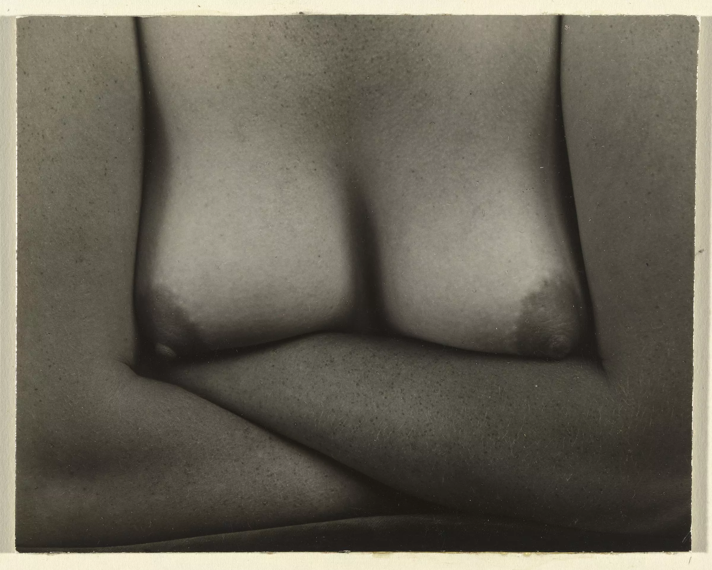 Nude by Edward Weston, 1934