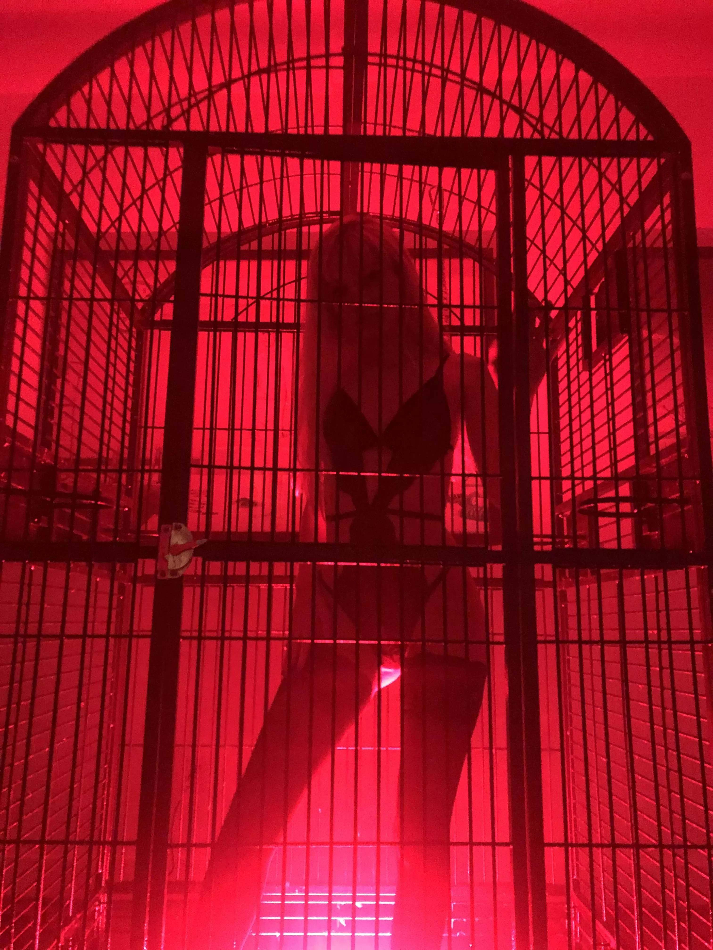 [OC] just showing you around your new room ðŸ˜ˆ