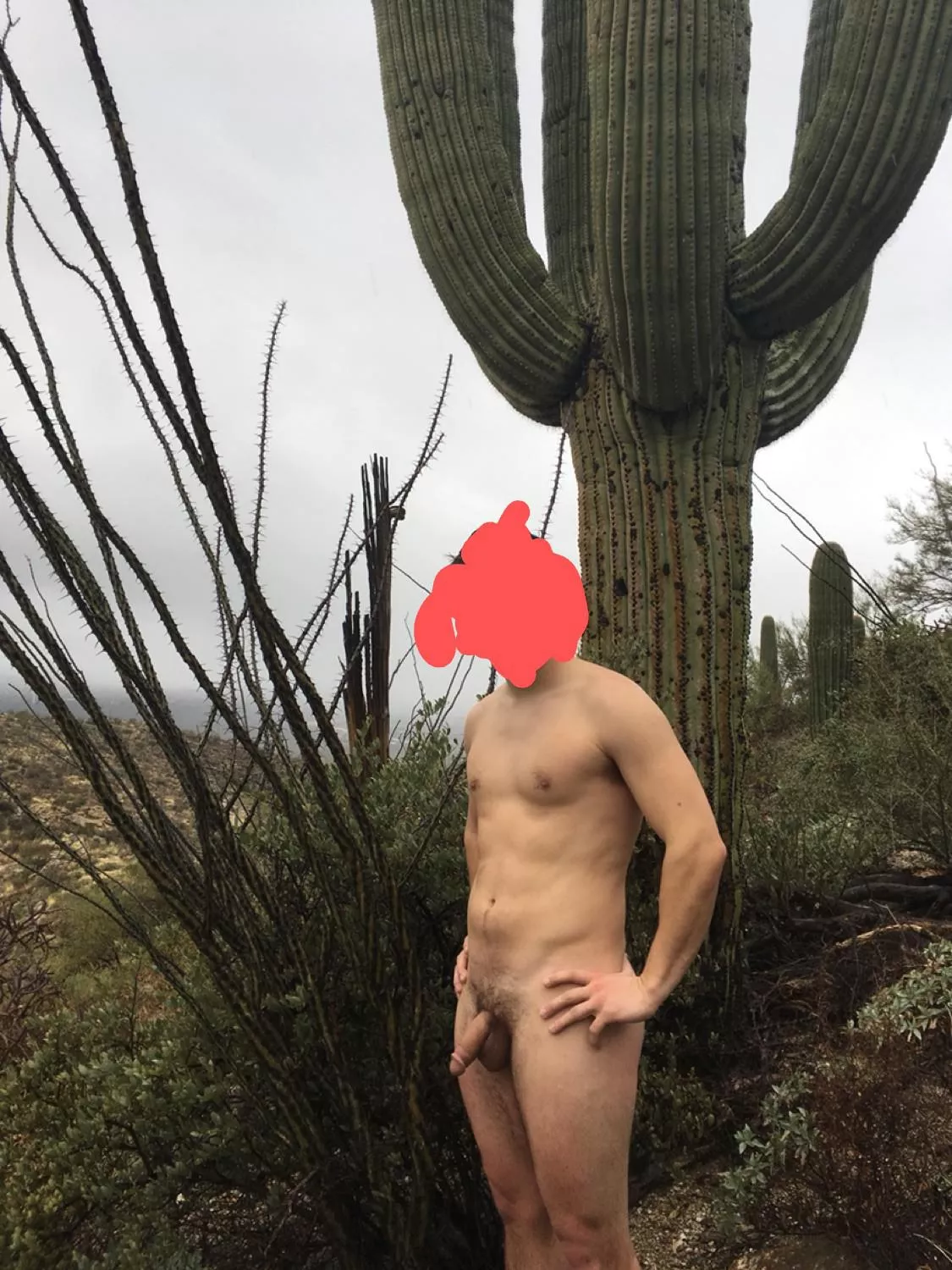 On a nice hike in the Sonora Desert, saguaro for refrence.