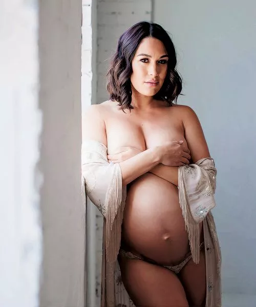 One of the hottest Brie Bella pics