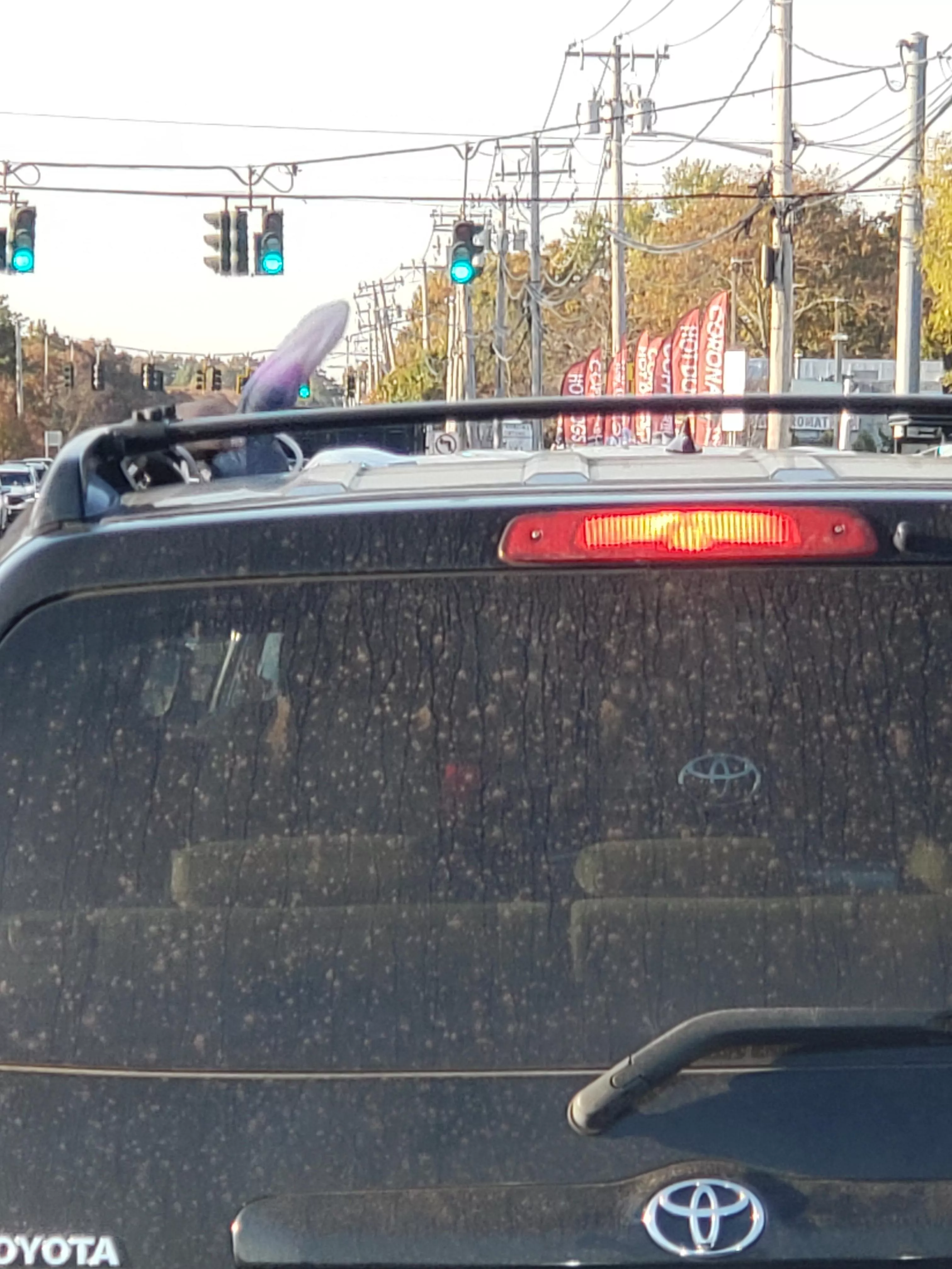 Orochi out in the wild.....maybe they saw my Stan on the dashboard.....🤔