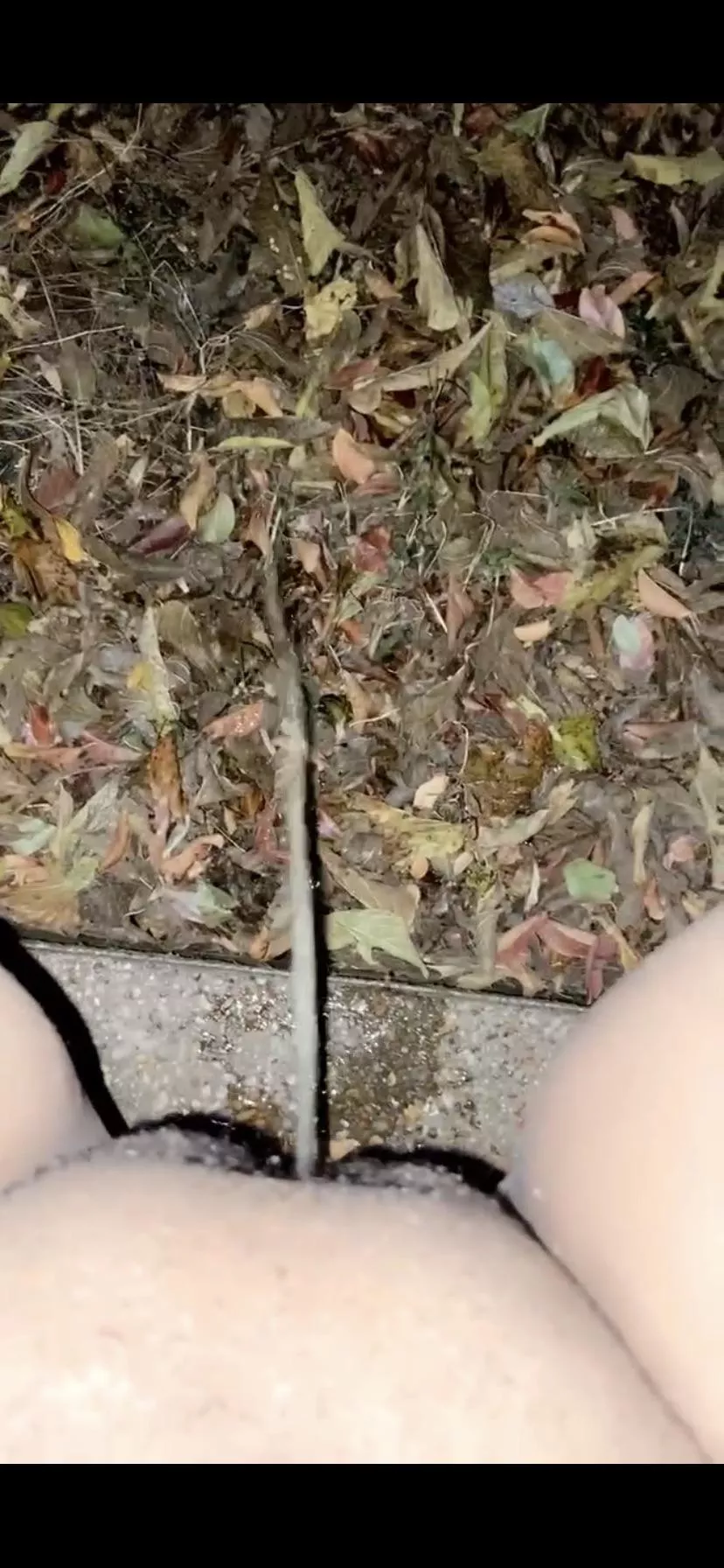 Outdoor Pee 🍁💧