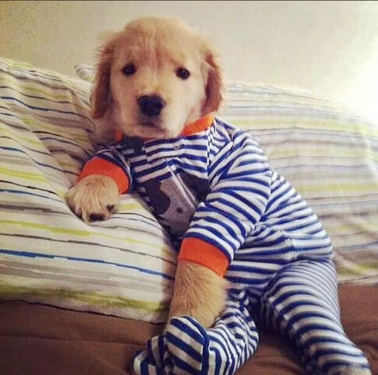 Pajama Time