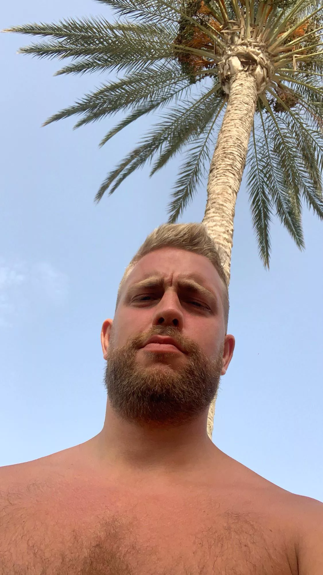 Palm McCartney and his little beard ðŸŒ´ Should I grow bigger?