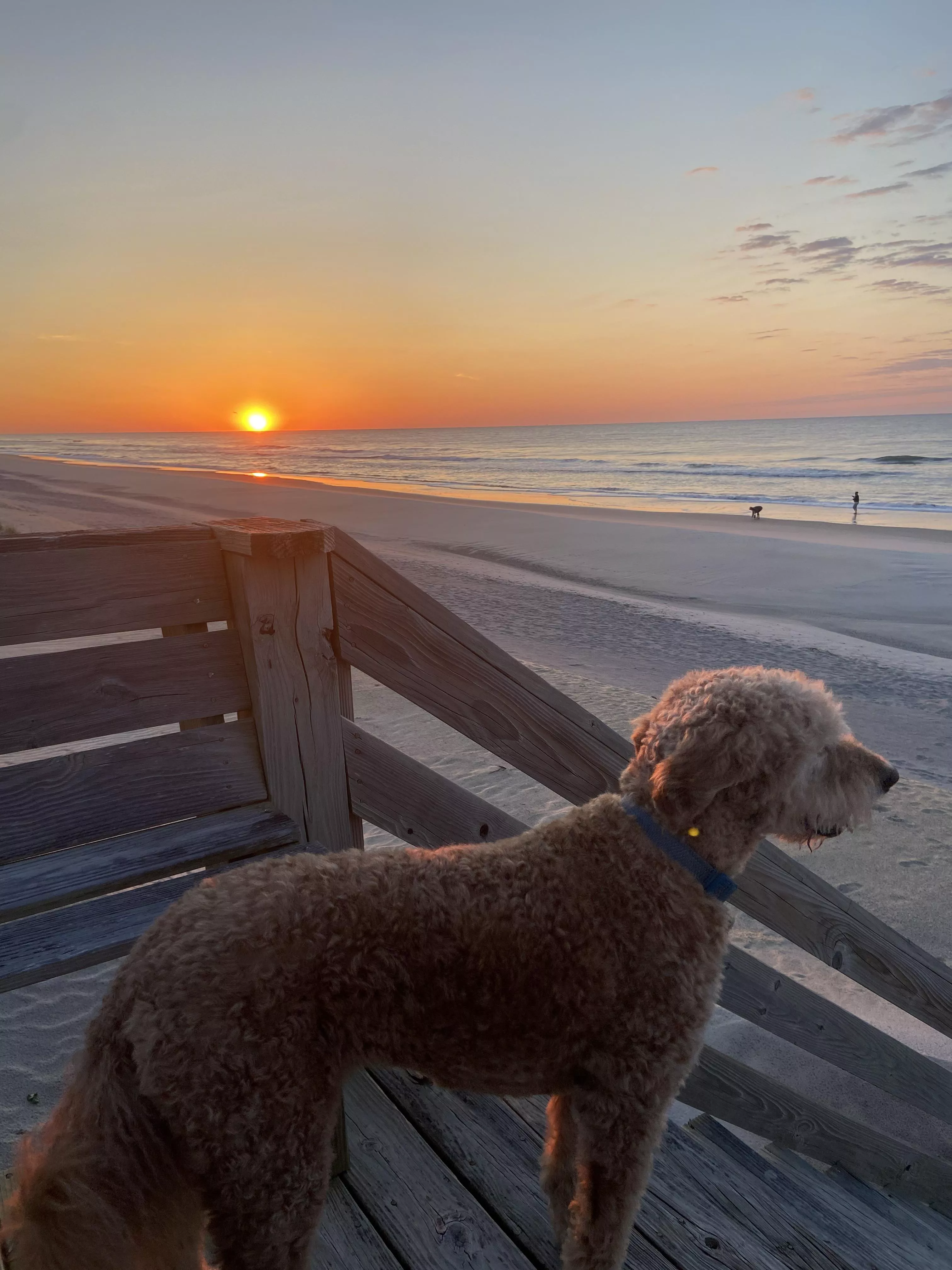 Paradise found at Topsail Island, NC.