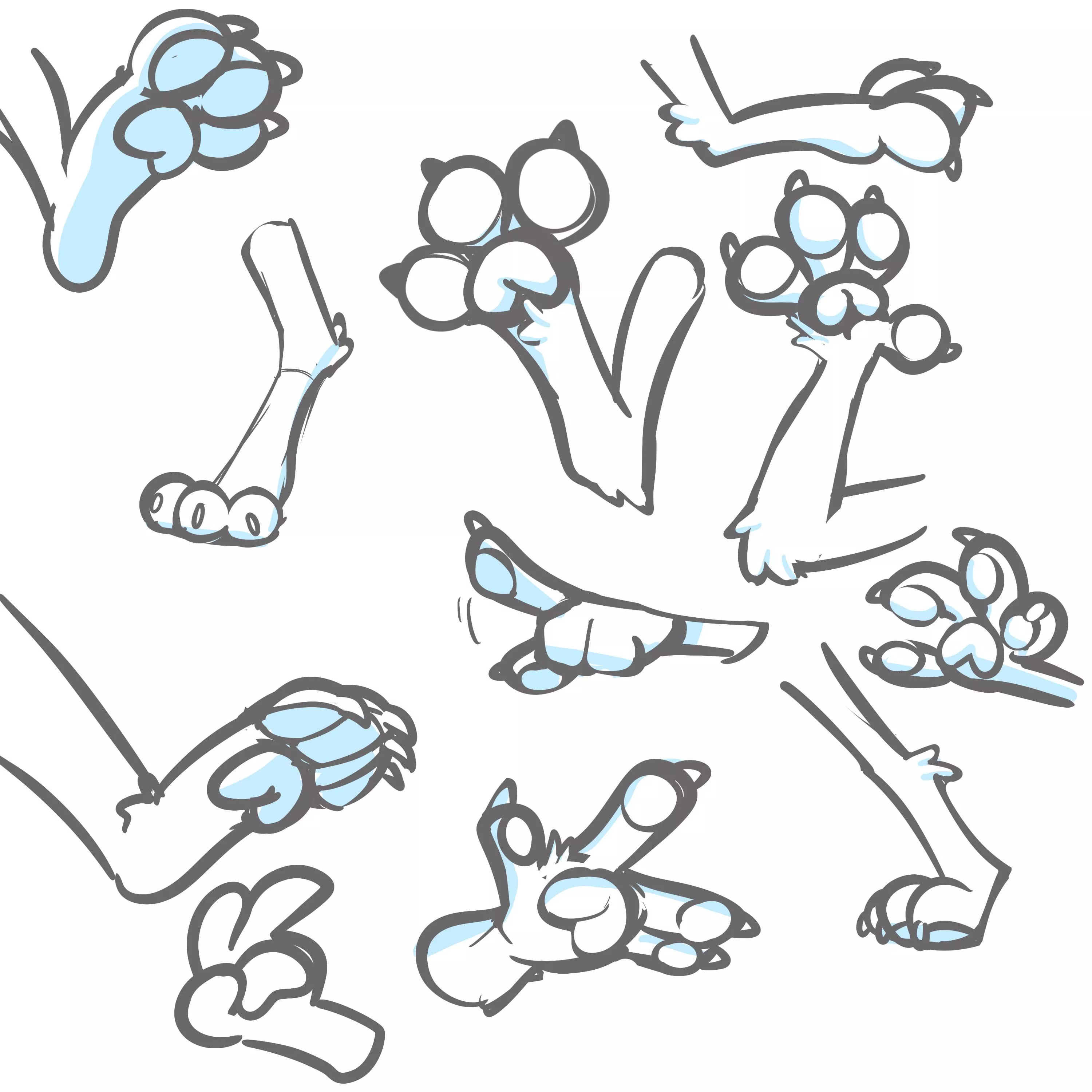 Paws doodles