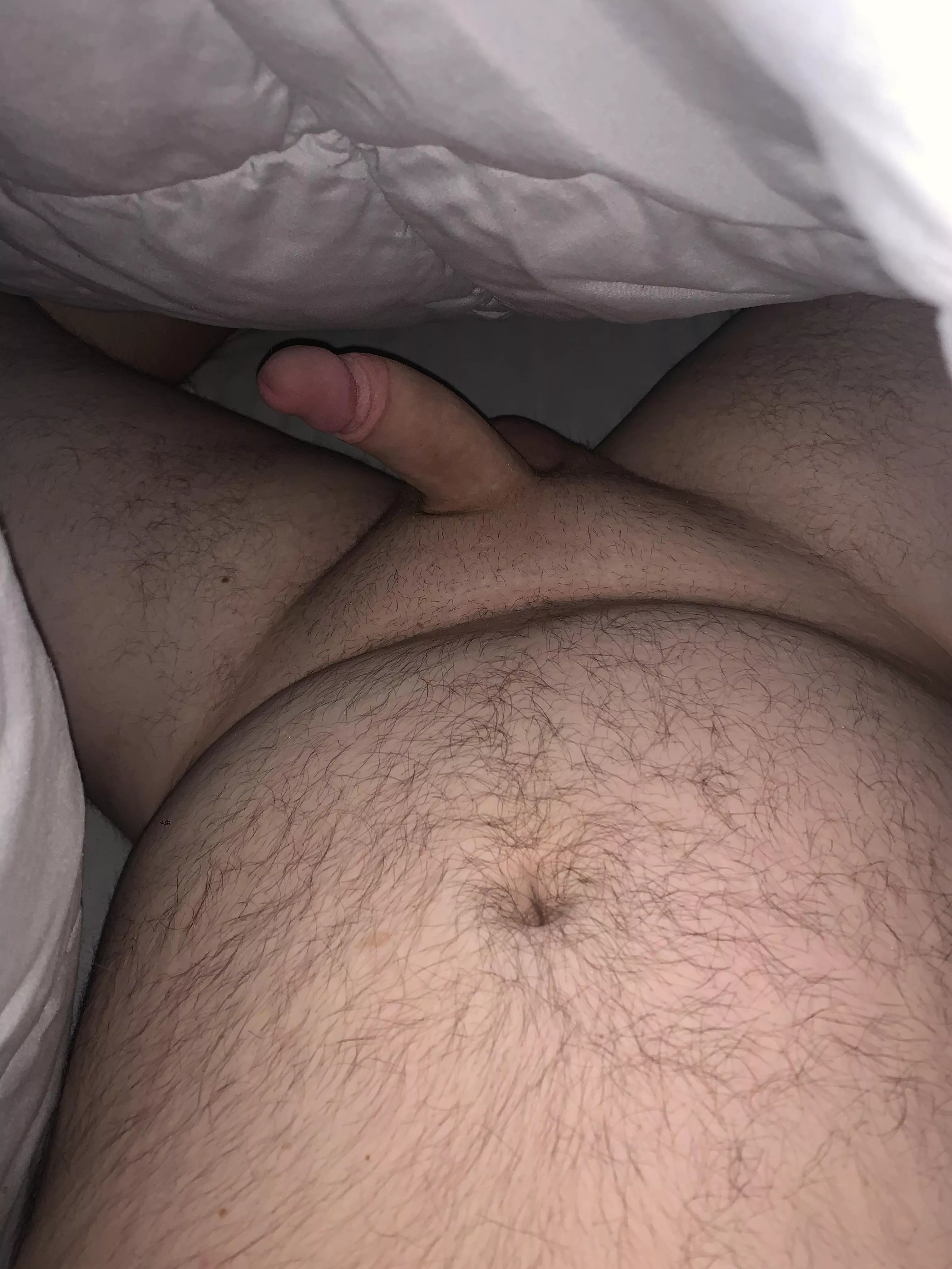 Peek under the covers this morning!