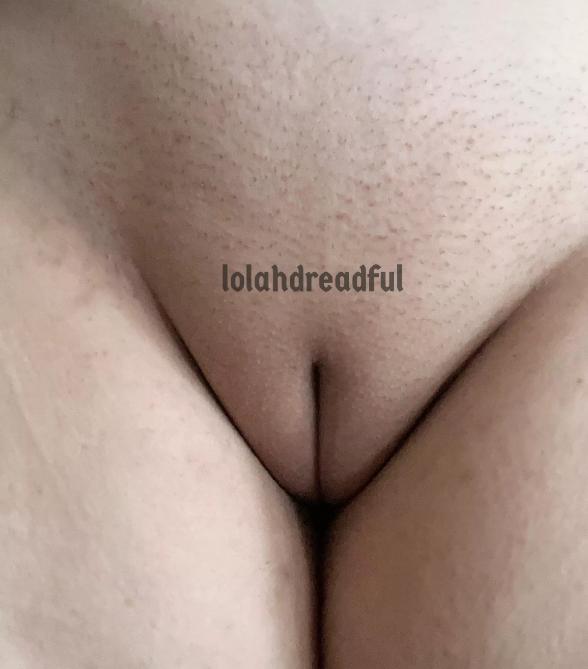 Perfect plump pussy. [oc] [f]