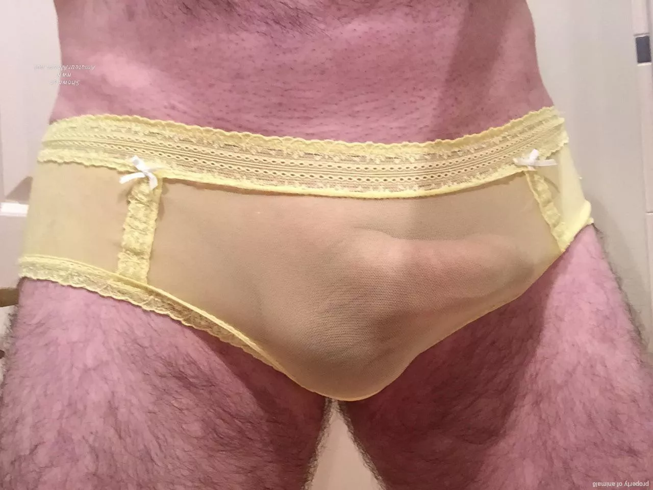 Pic from a while back. My first pair of neighbours knickers. What do you think?