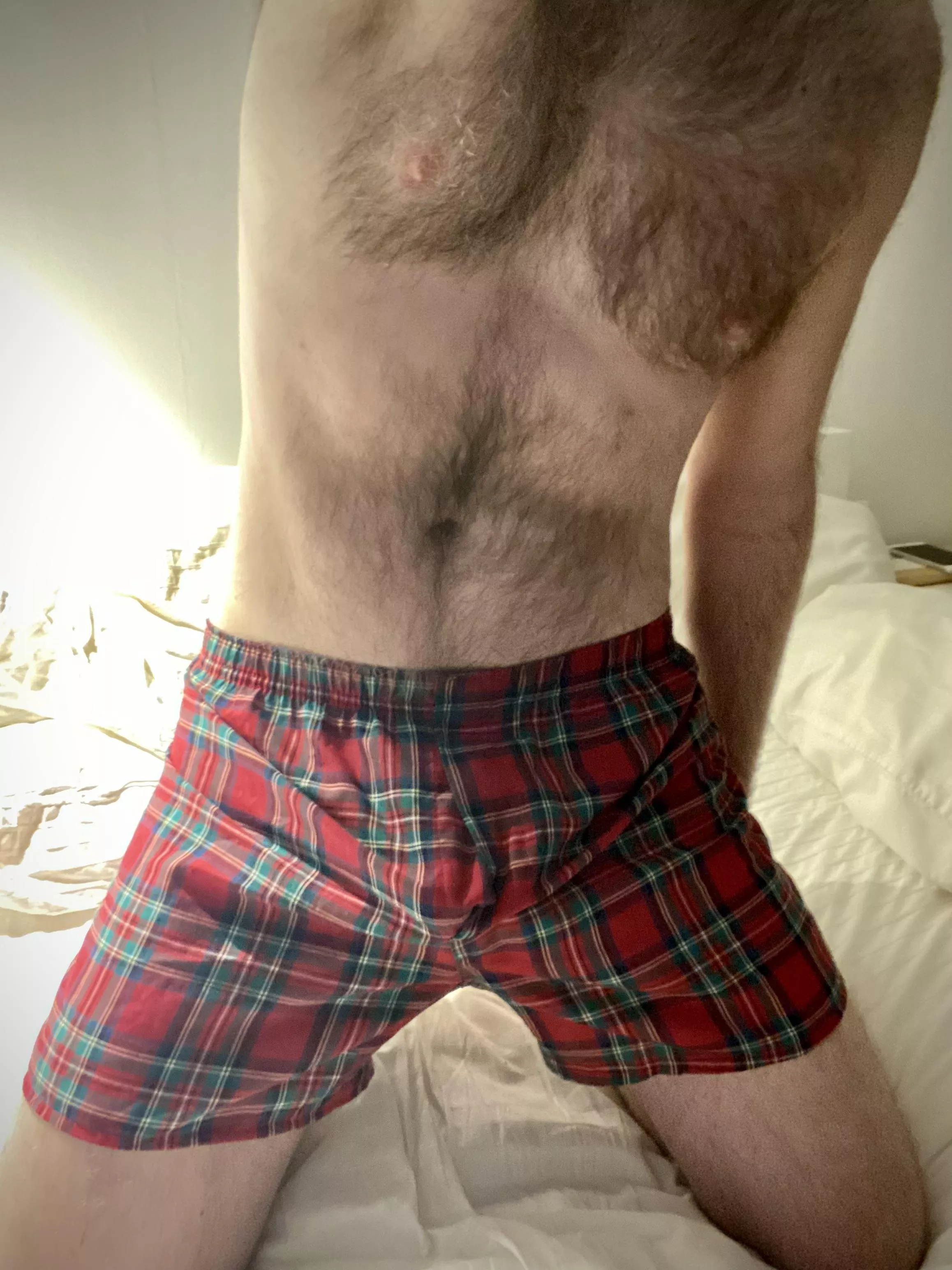 Plaid Hanes