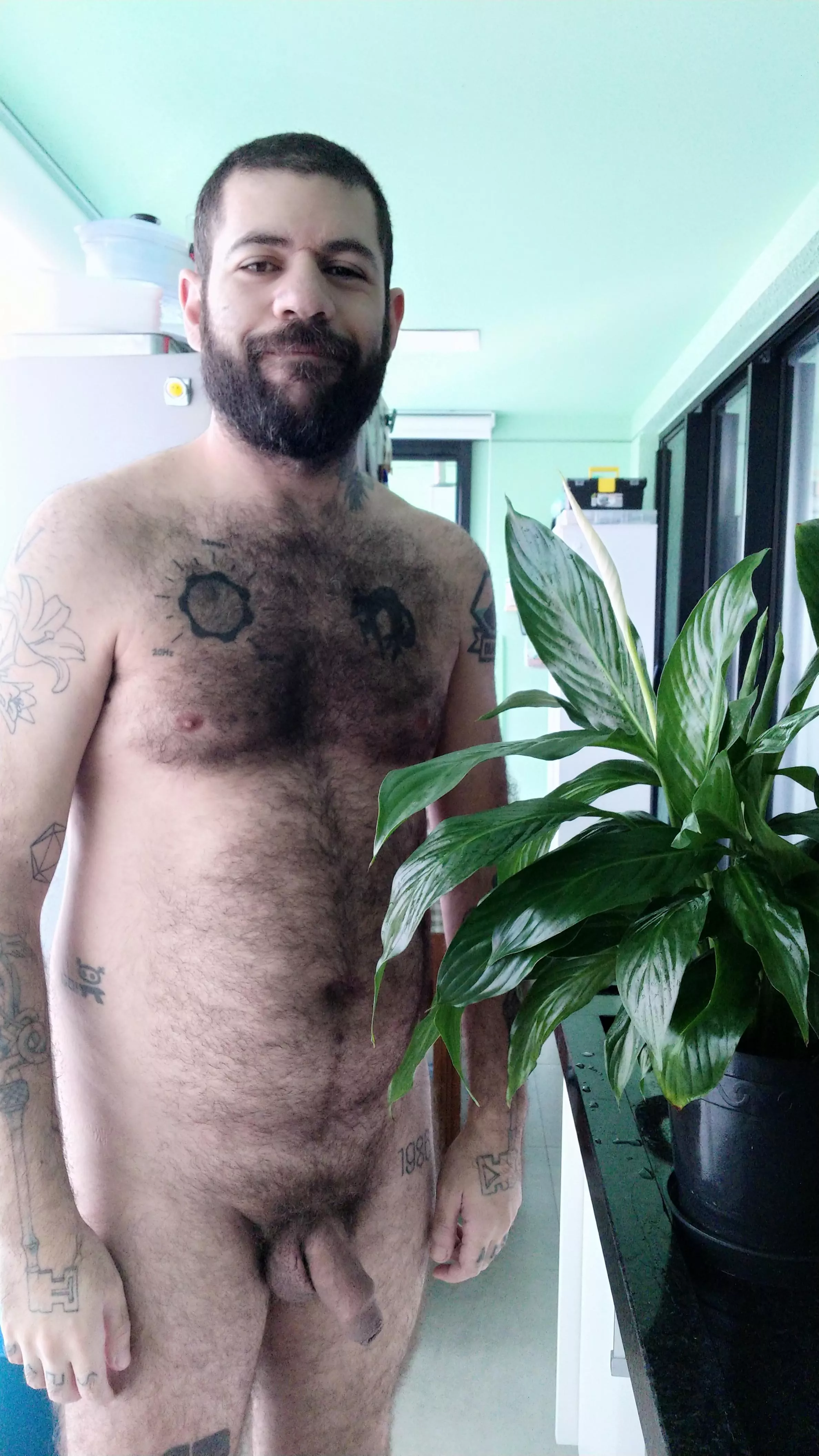 Plant dad (35 M)