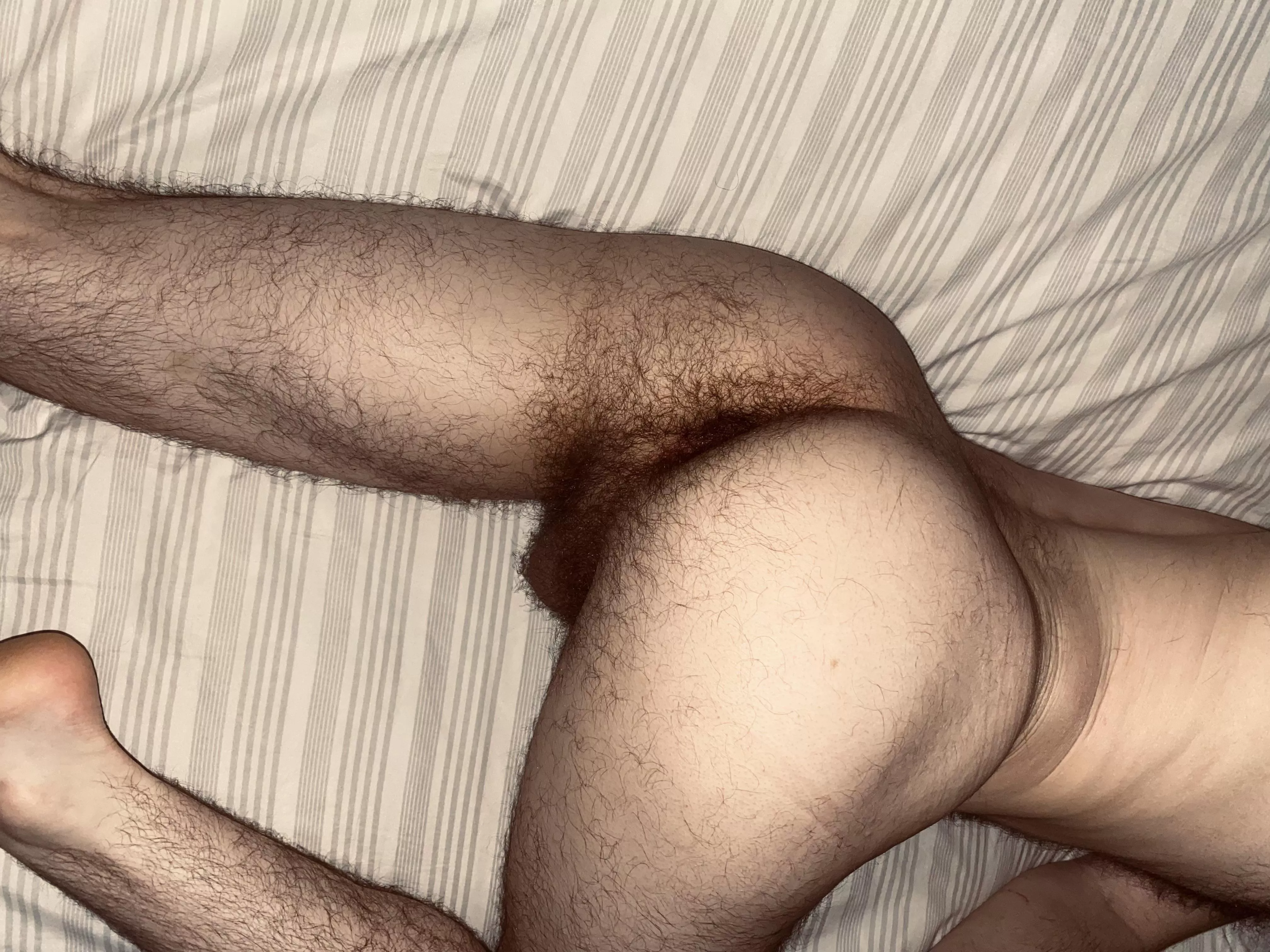 Play with my hairy balls while you eat my hairy hole ðŸ˜‰ (24m)