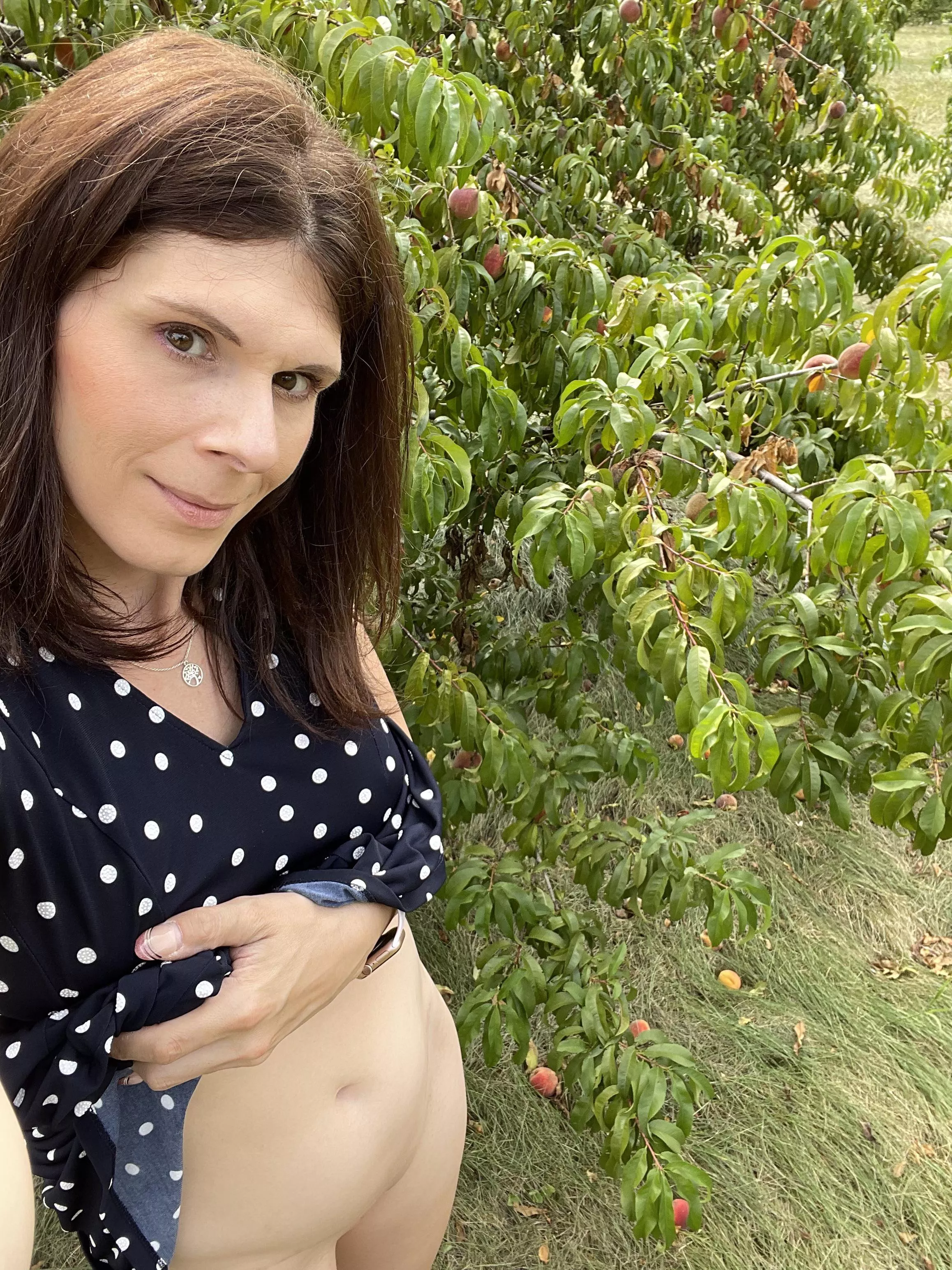 Polkadot dress in a peach orchard…classic yet feminine (39F)