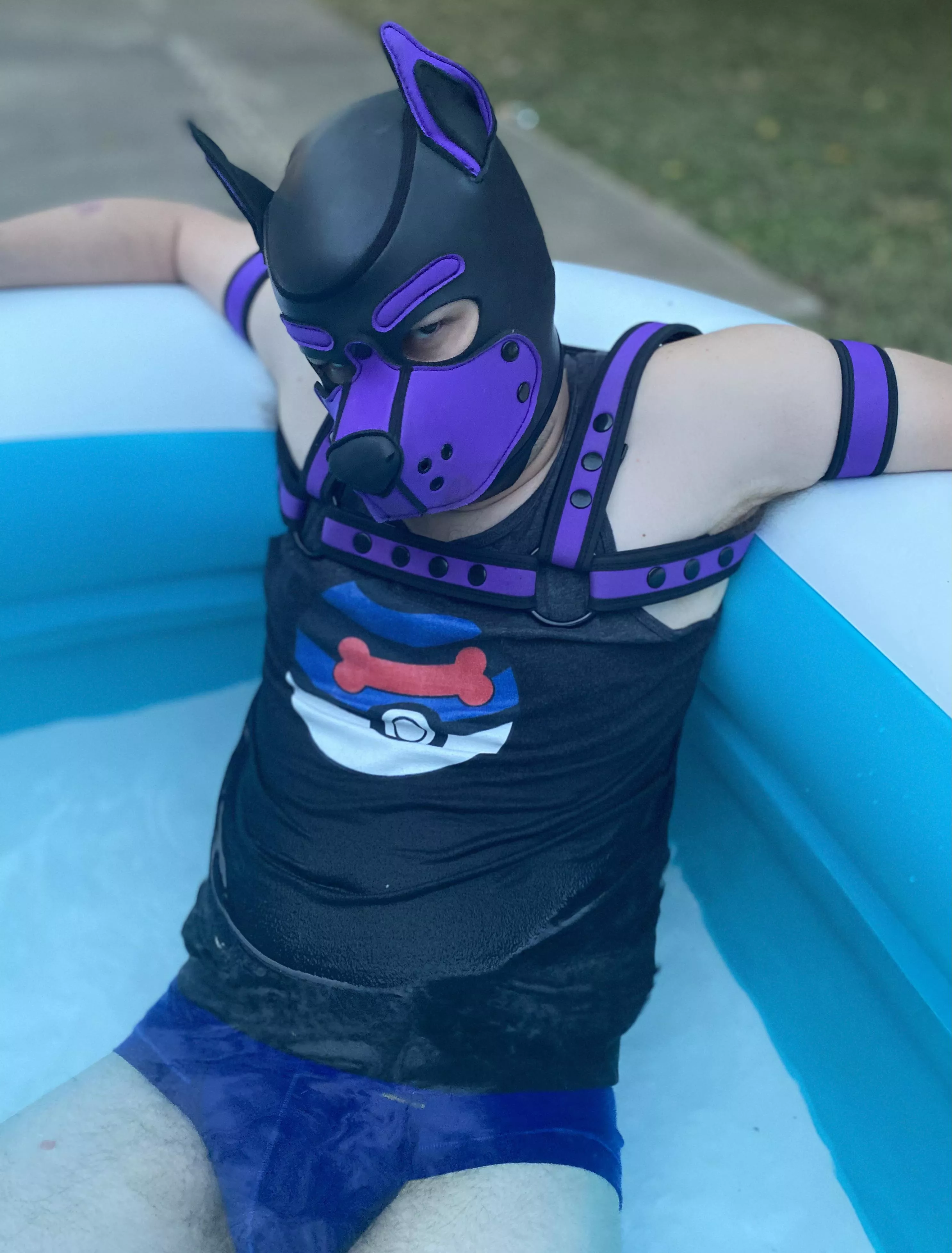 Pool puppy!