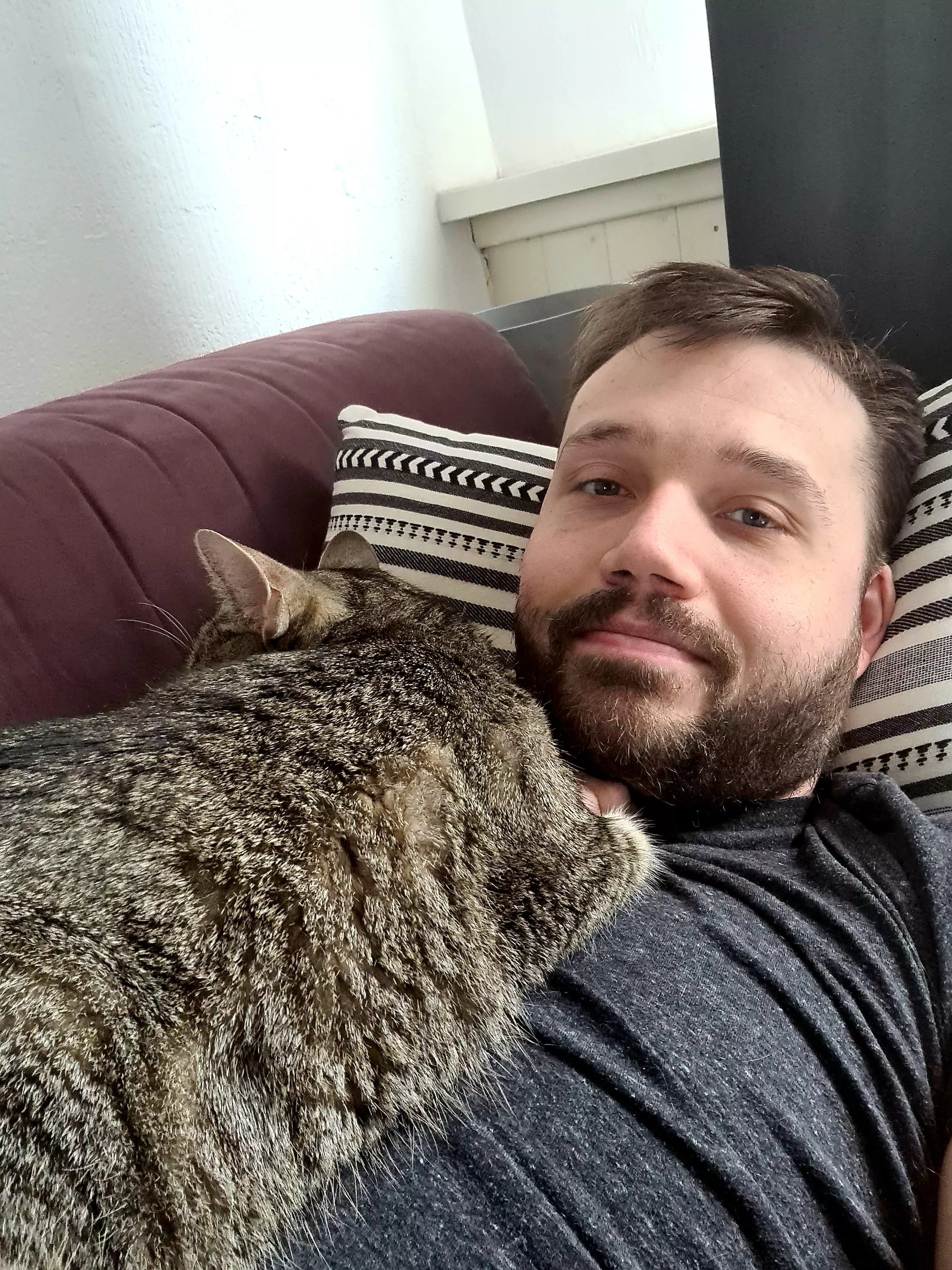 Post-lunch Nap over ... my cat isn't helping me get back to work