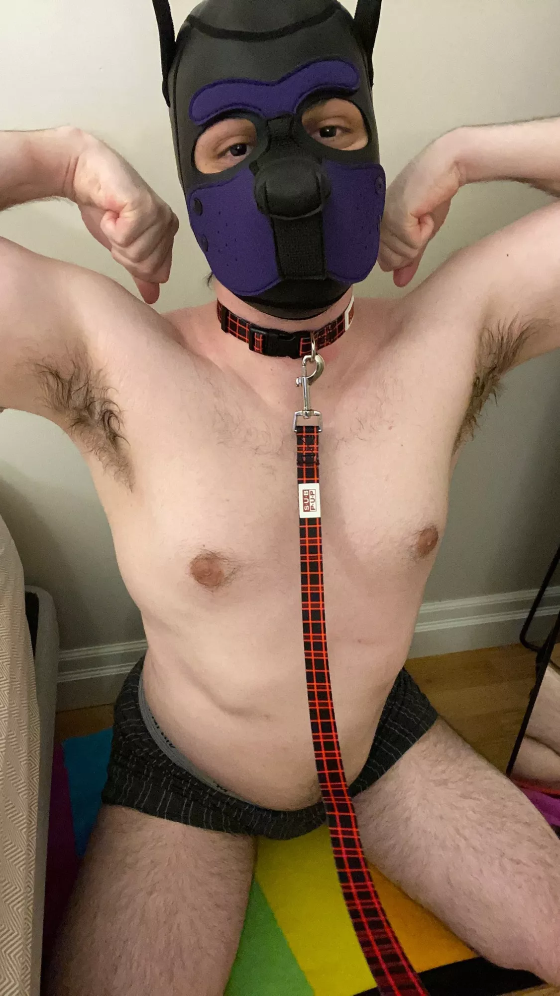 POV: you’ve commanded your dumb, brainwashed dog to flex and show off their musky pits 😵‍💫💦