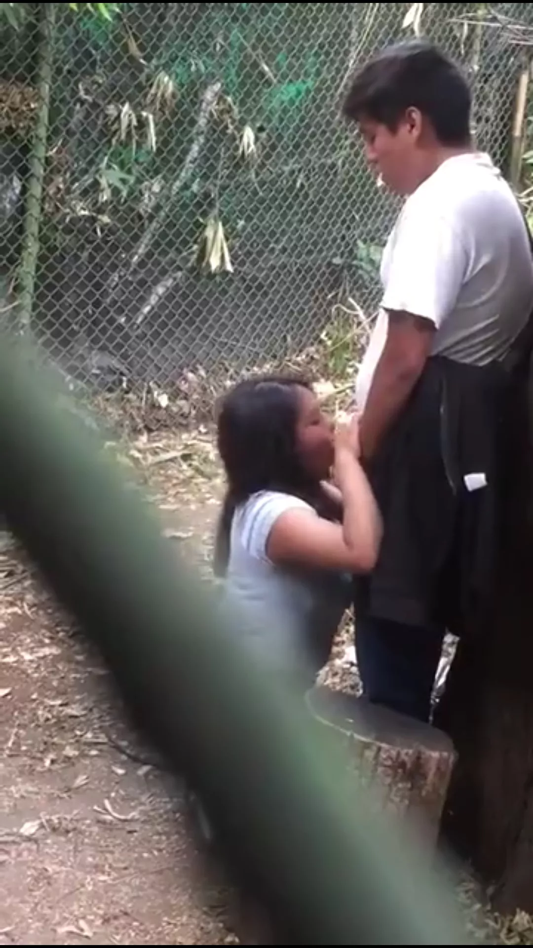 PUBLIC PARK HOT GIRL BLOWJOB