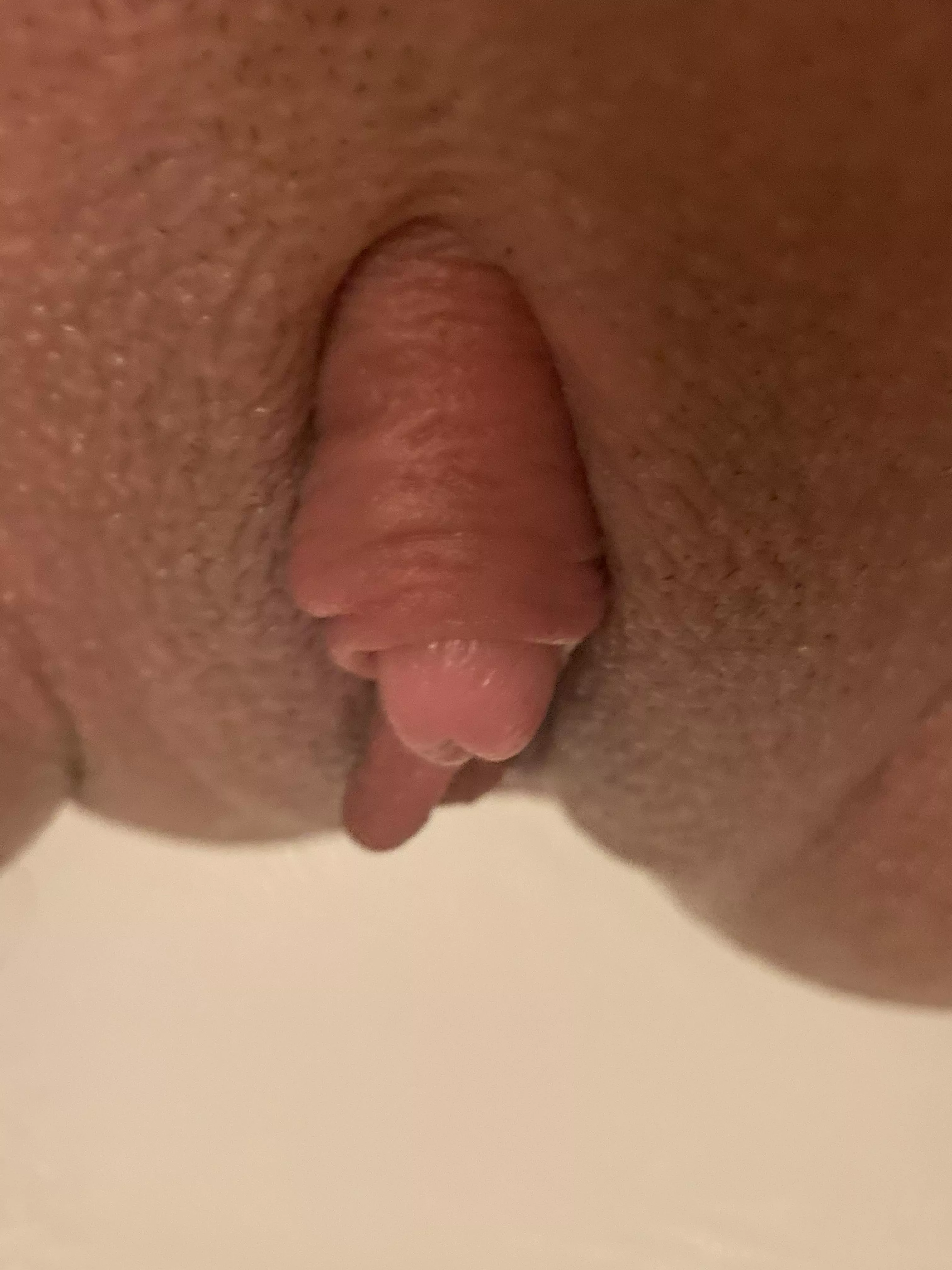 pumped up and swollen but not erect yet