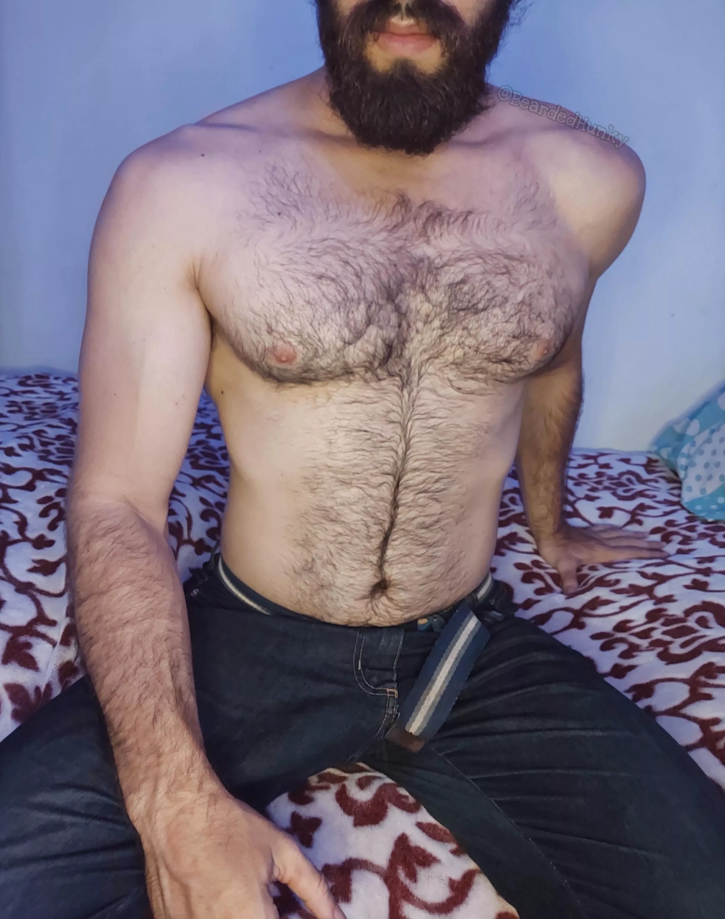 Pure chest hair porn