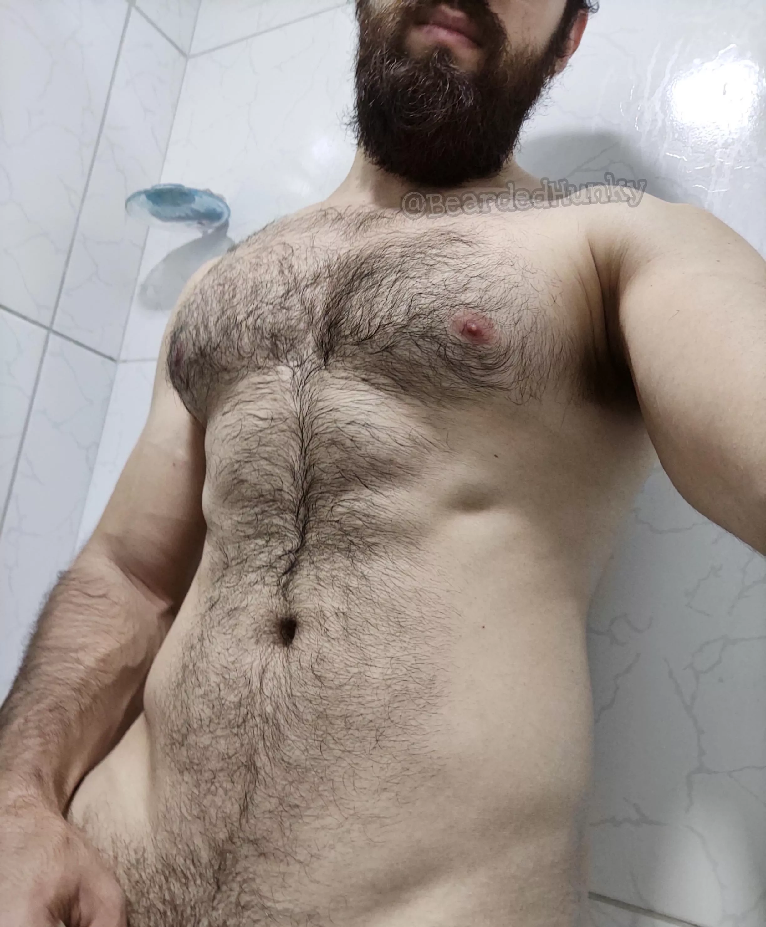 Pure chest hair porn