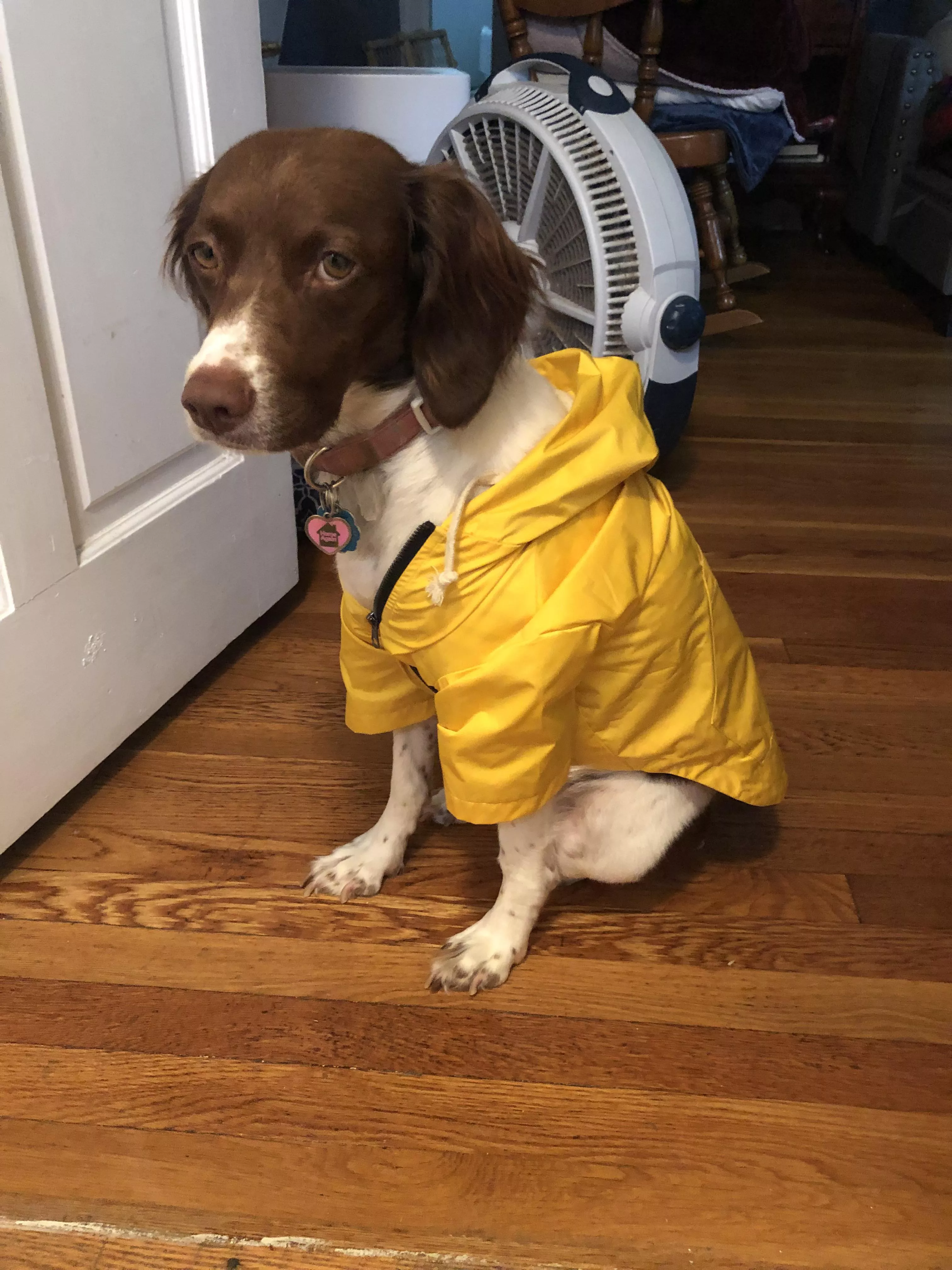 Rain coat on a rainy day