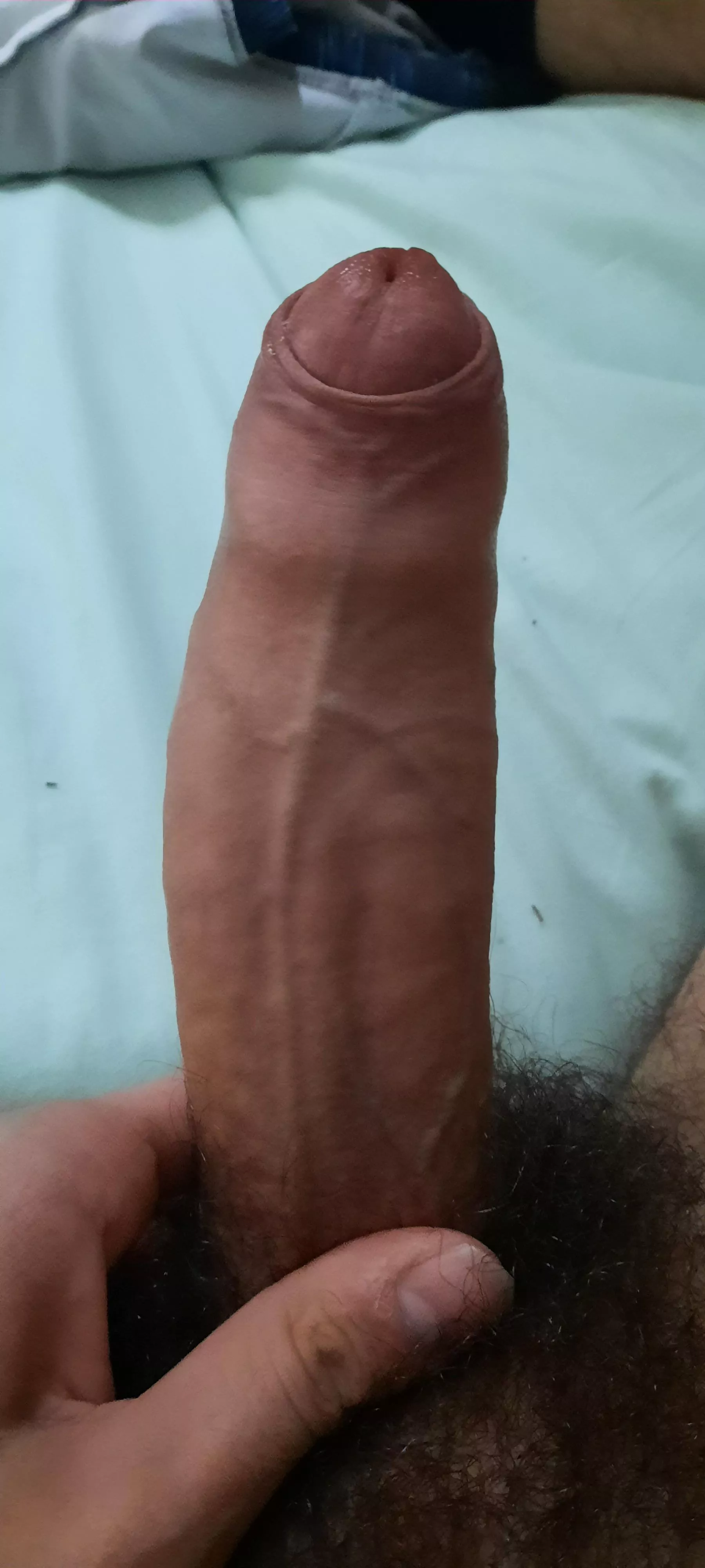 Rate my dick