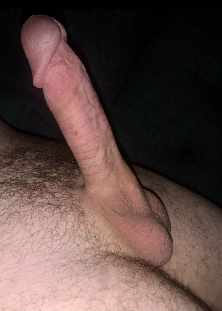 Rate my late night boner