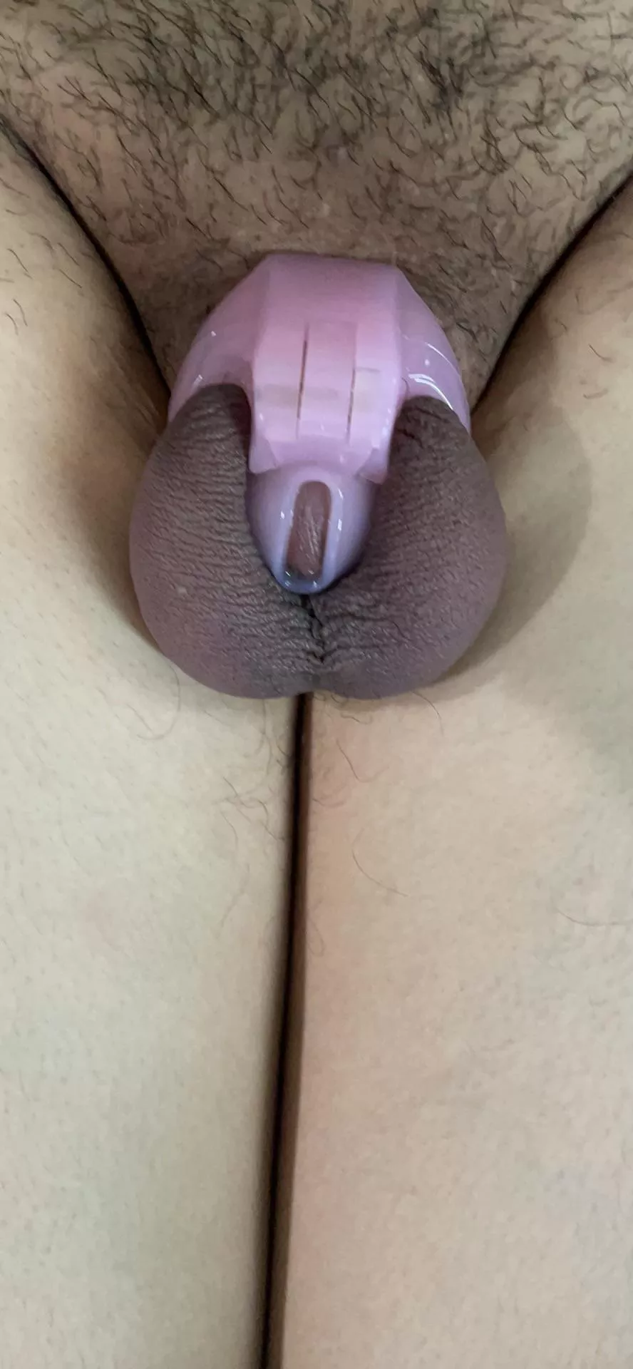 rate my little clitty