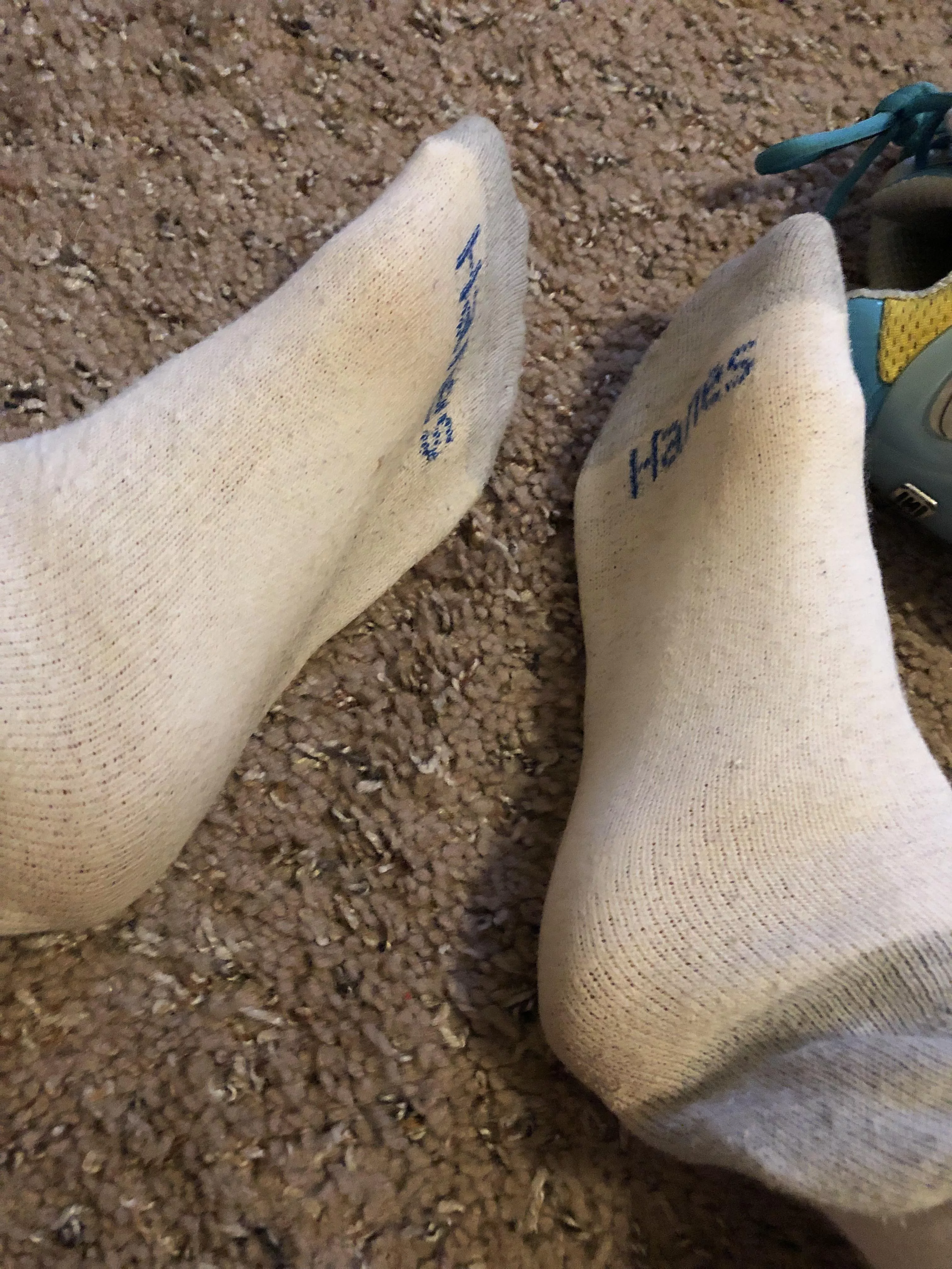 Remembering that time when I wore this pair of socks for 2 WHOLE WEEKS! 🥰 Want me to do the same for you? I promise you’ll love the results! 😊 PM me with any questions, I can’t say “Yes!” unless you ask!😘