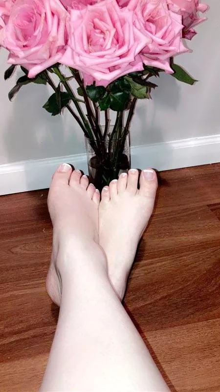 Rosy Feet