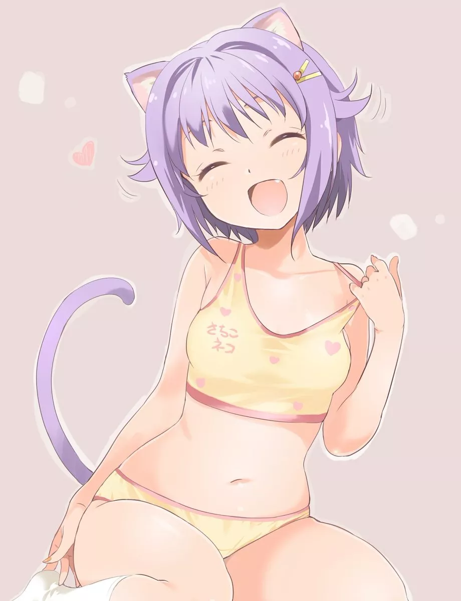 Sachiko cat