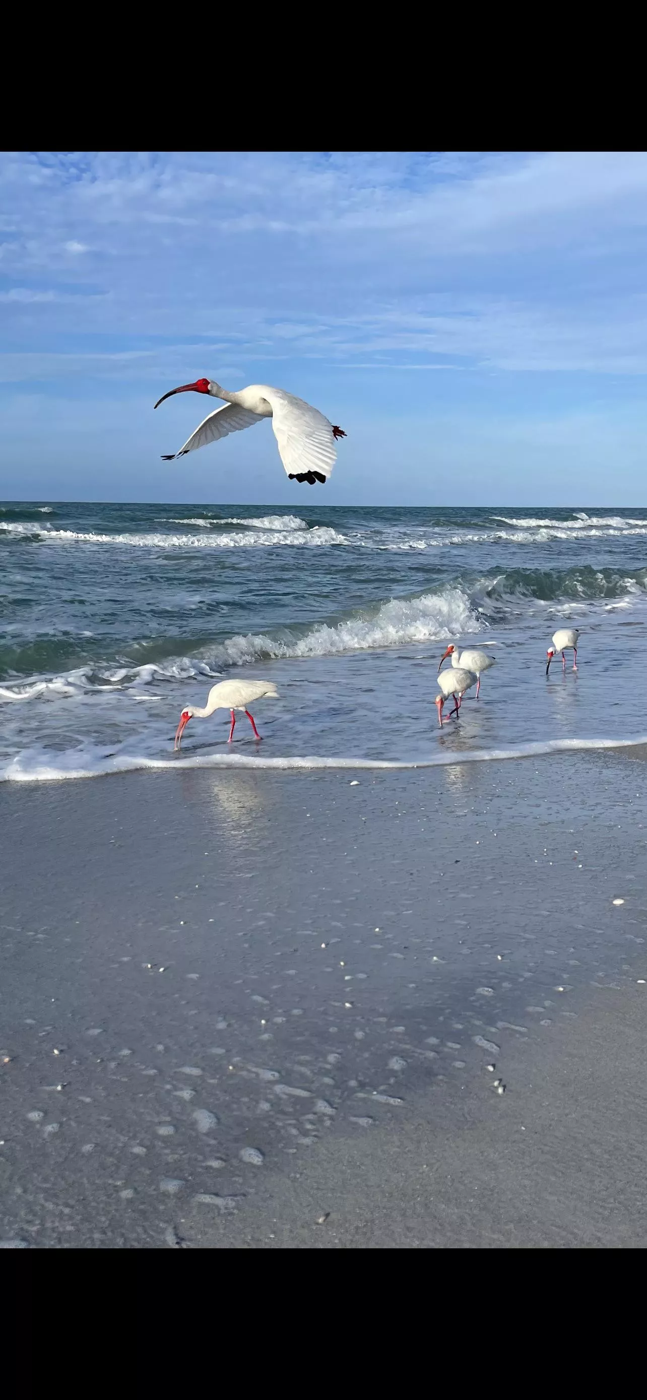 Sanibel, Florida