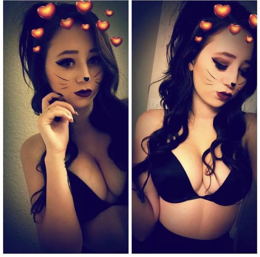 Sexy kitty