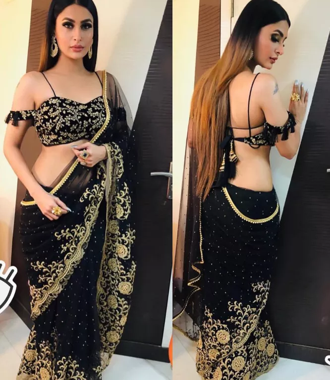 Sexy Saree