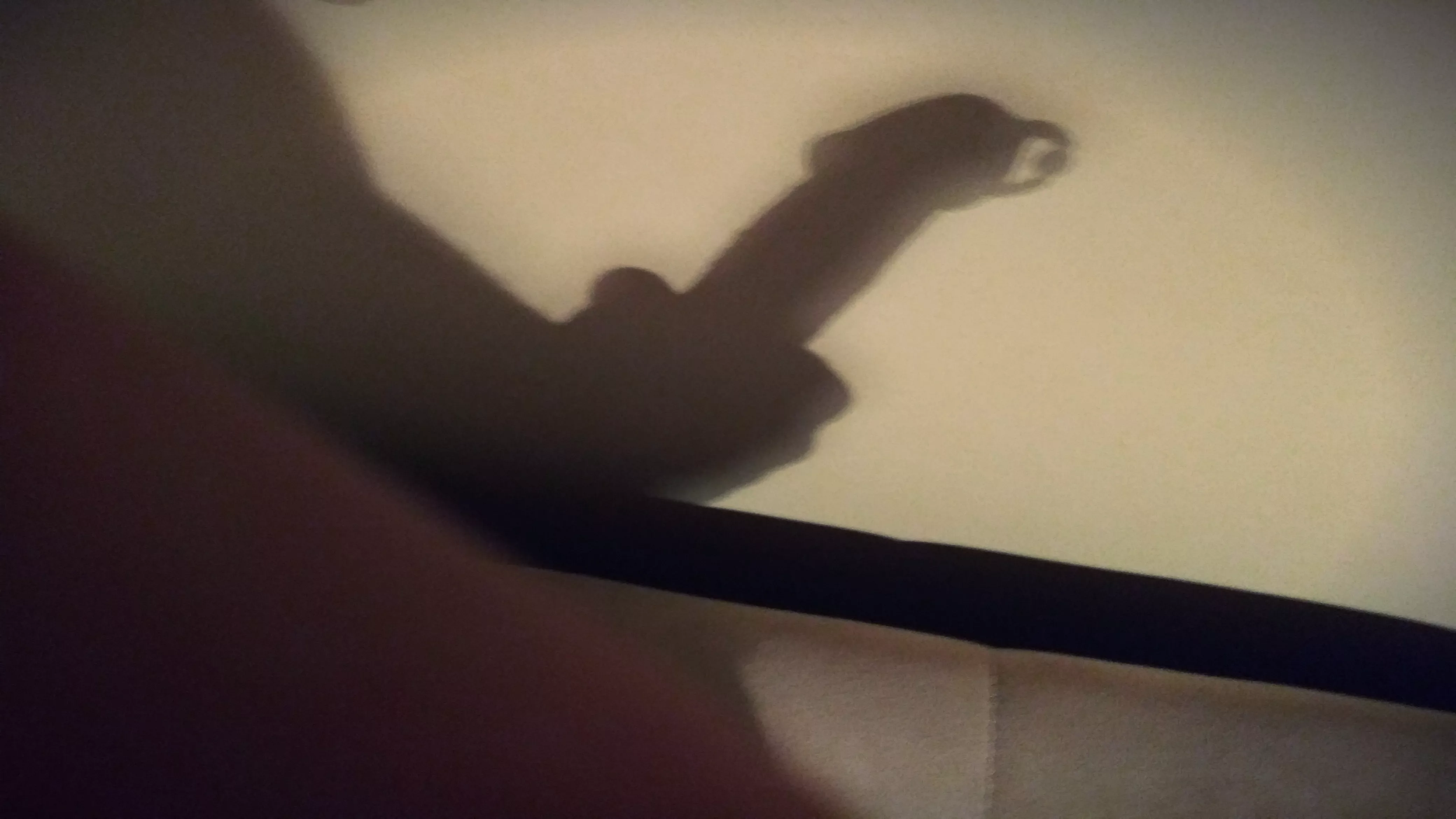 Shadow puppet