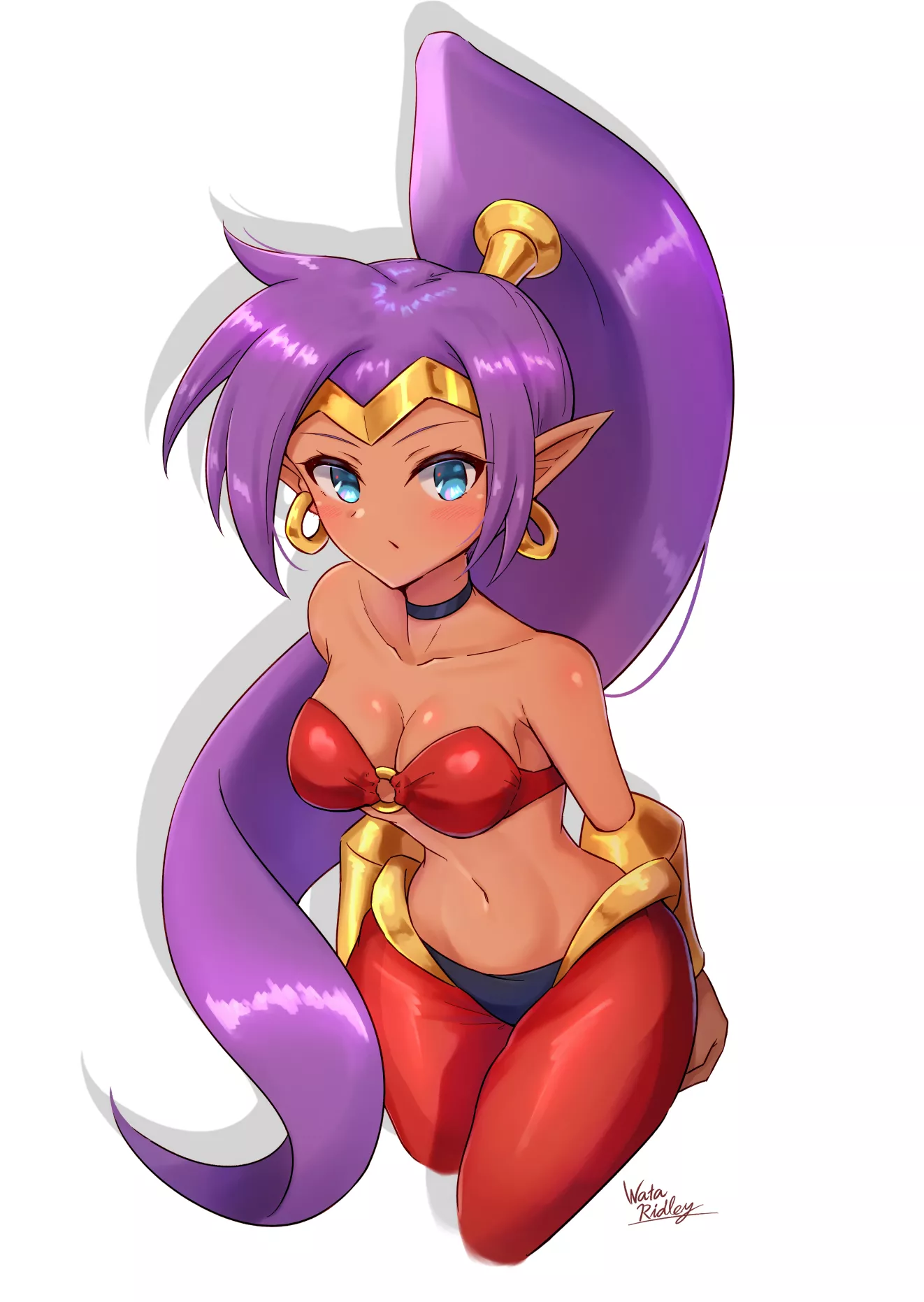 Shantae Curious Expression