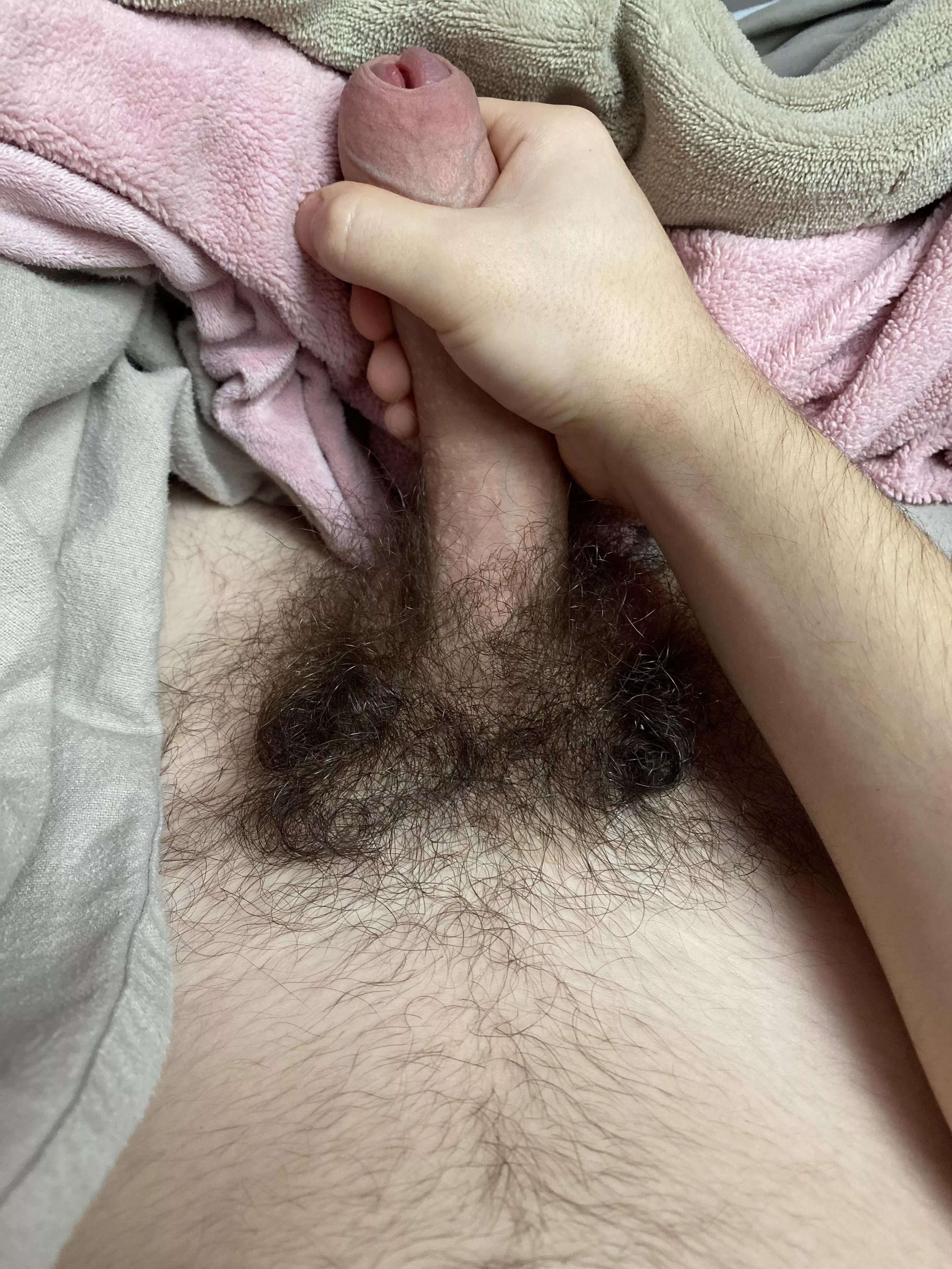 Shave?