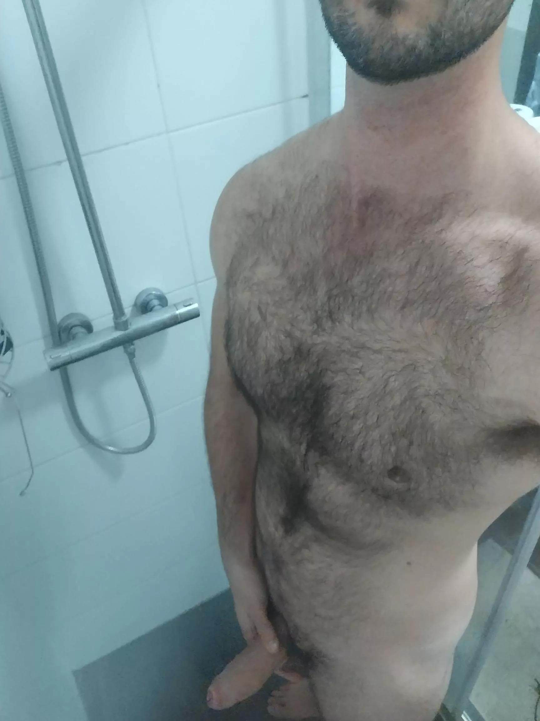 Shaved my chest a few weeks ago, letting it grow out this time