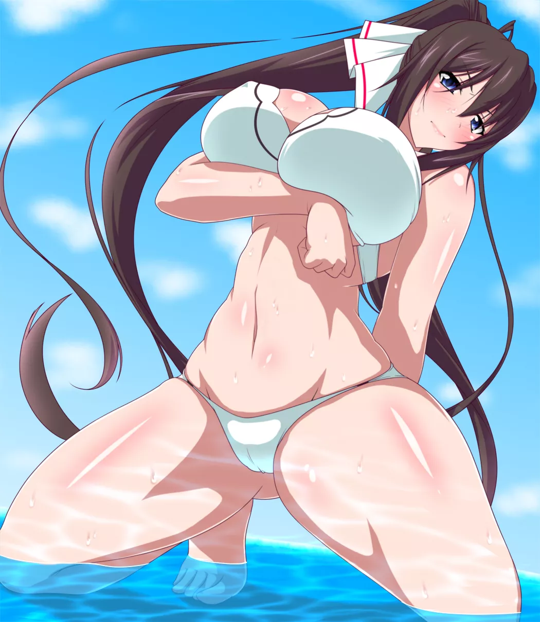 Shinonono Houki [Infinite Stratos]