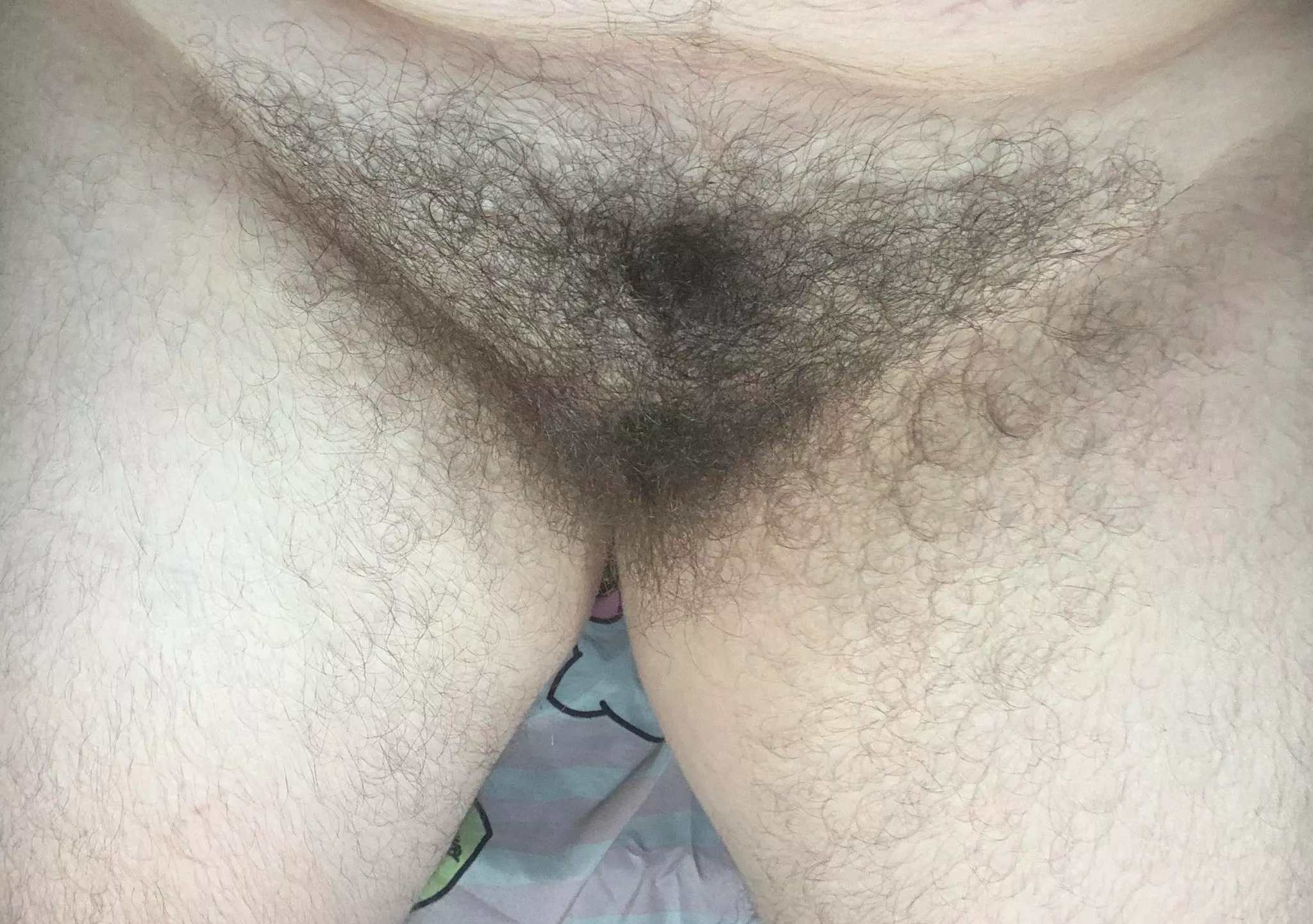 Should I let my bush grow out more?