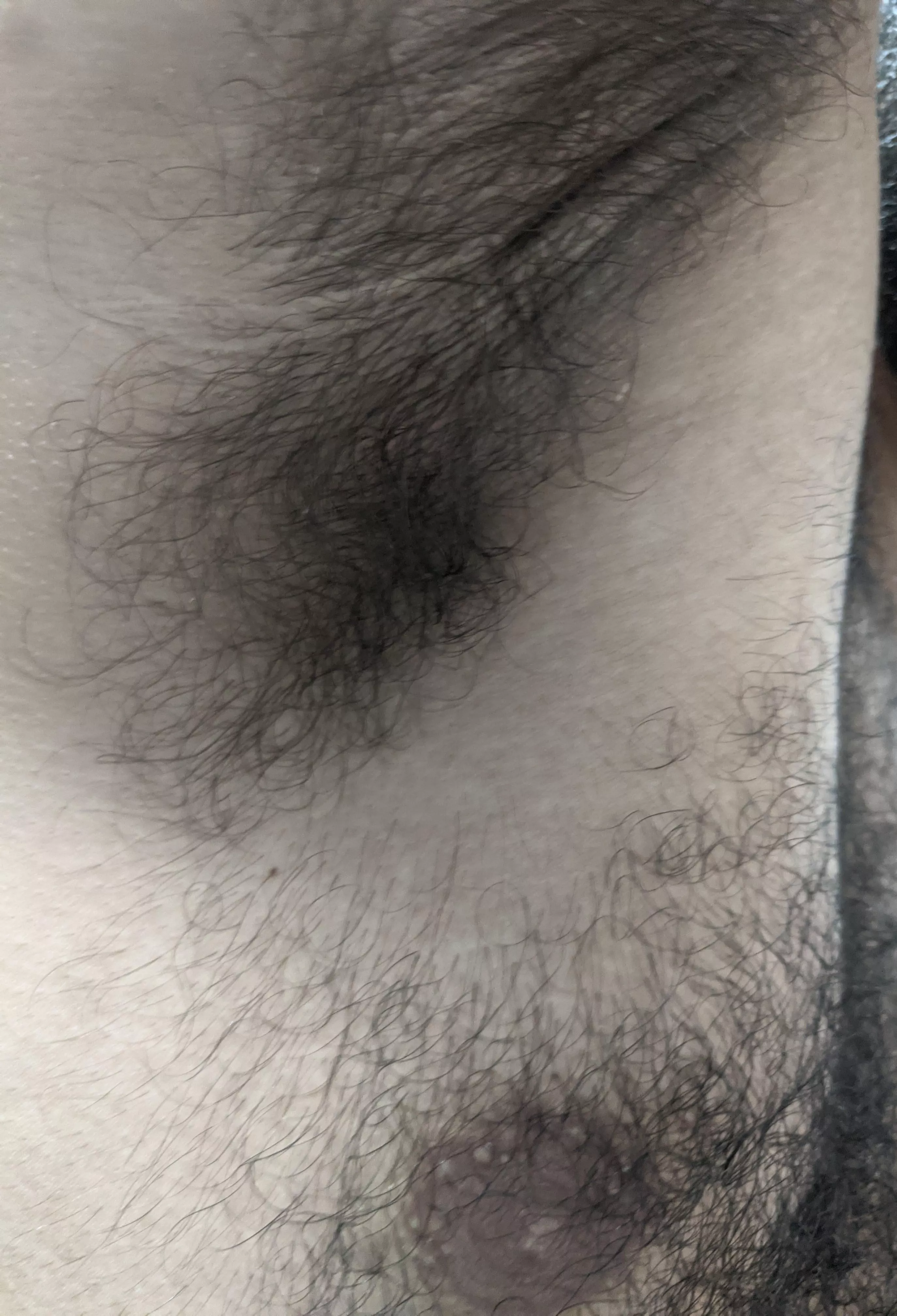 Should I shave it or not?