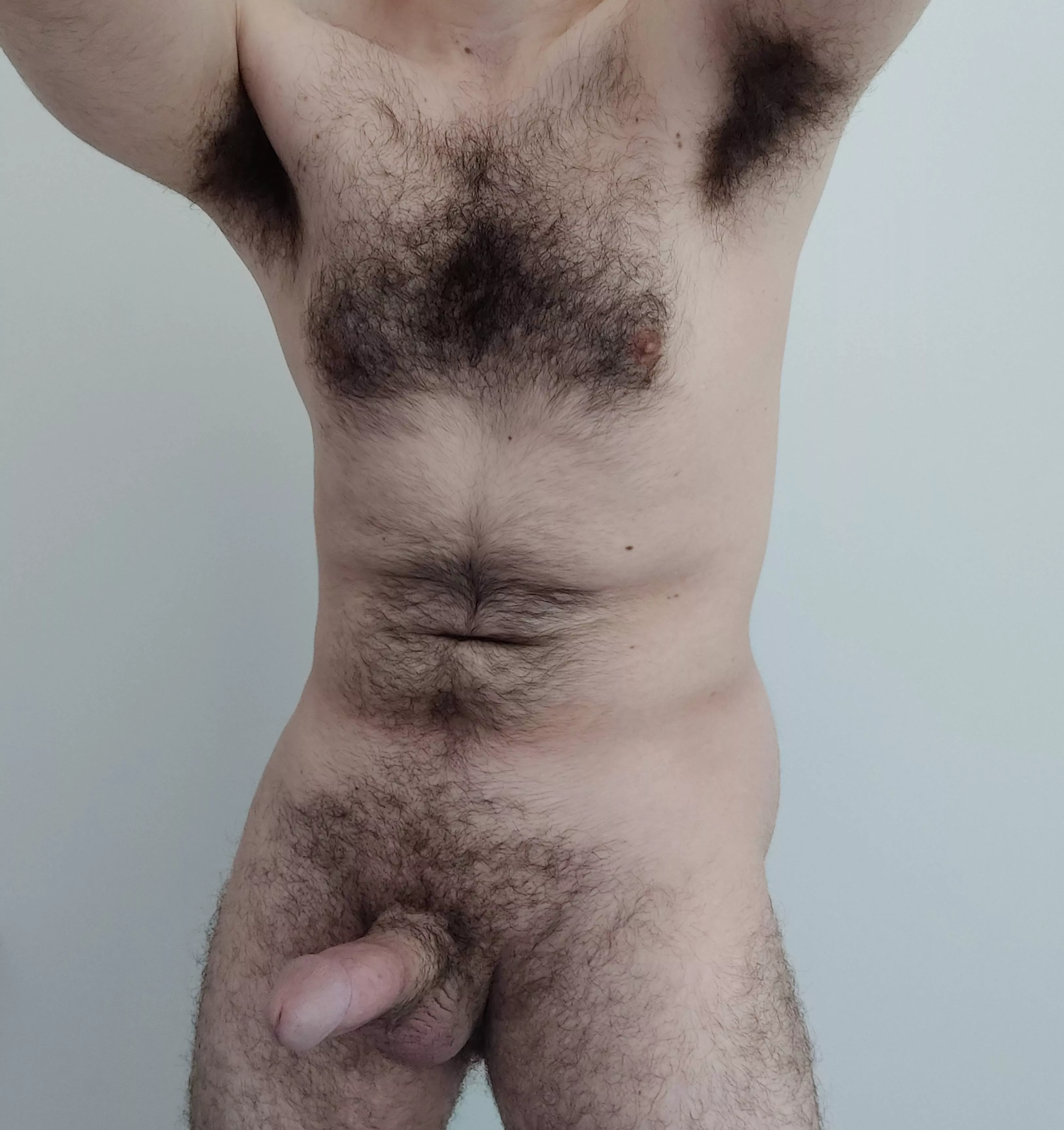 Showing off my hairy body and my cock