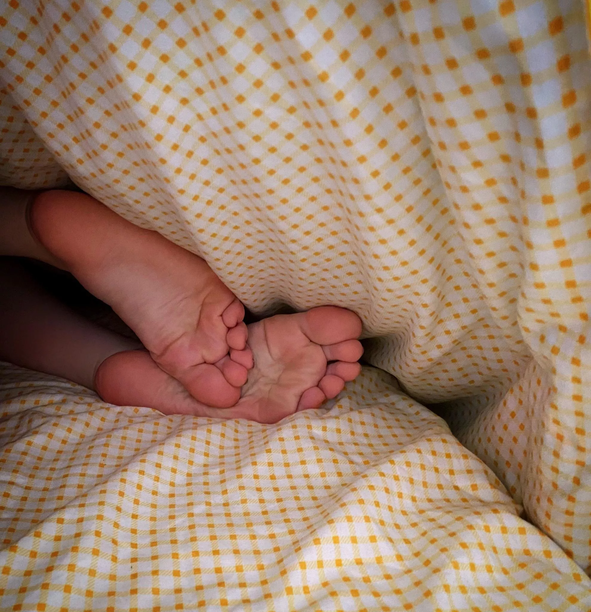 shy feet hiding under the blanket :)