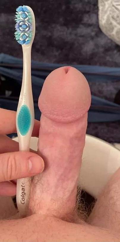 Sized up by a toothbrush. Who can top it?