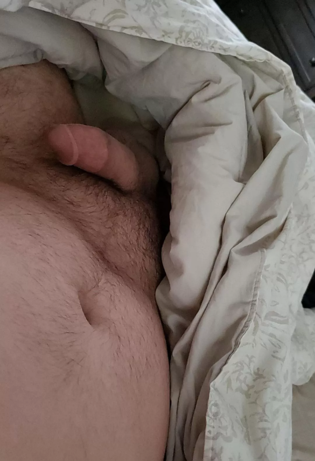 Skip Monday and climb back in bed? (37)