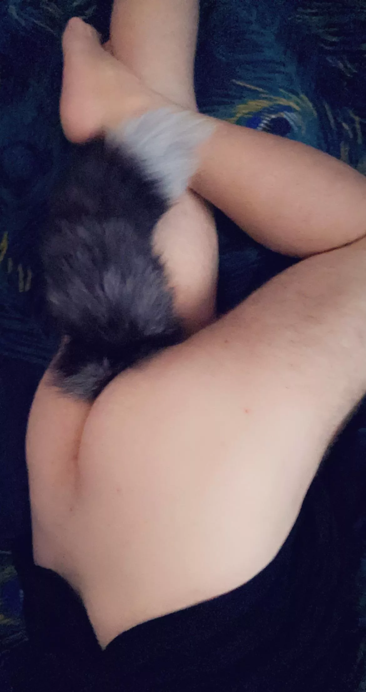 Sleepy Saturday Kitty [M]