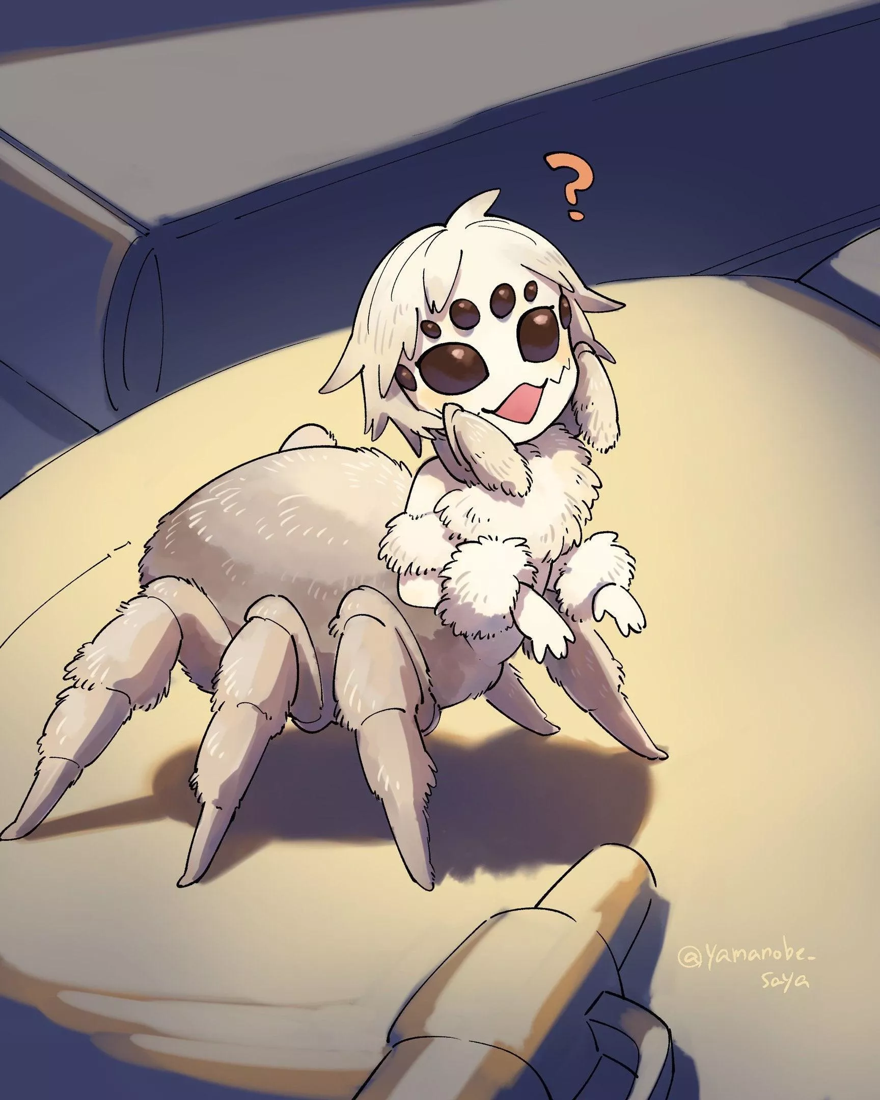 Smol spider